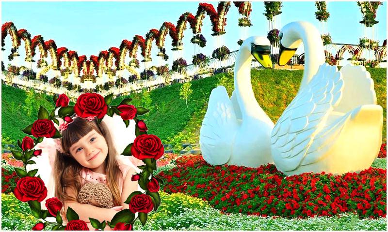 اسکرین شات 4 برنامه Beautiful Garden Photo Gallery