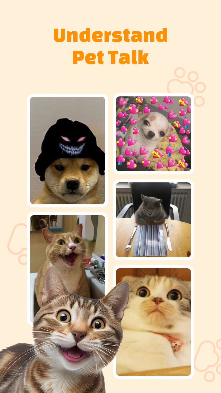 اسکرین شات 2 برنامه Pet Translator & Pet Prank App