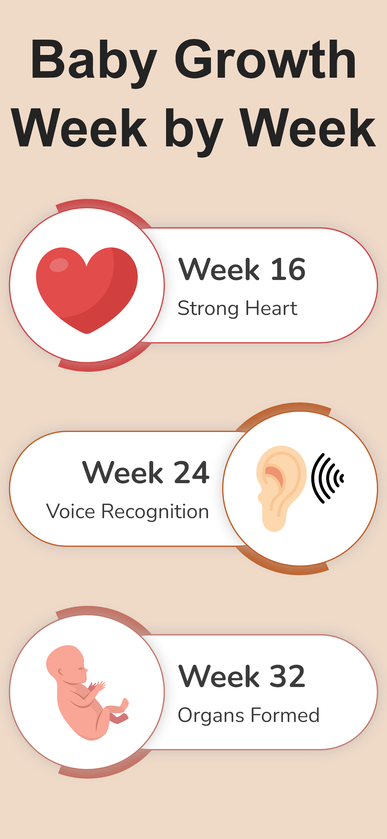 اسکرین شات 7 برنامه Pregnancy Calculator & Tracker
