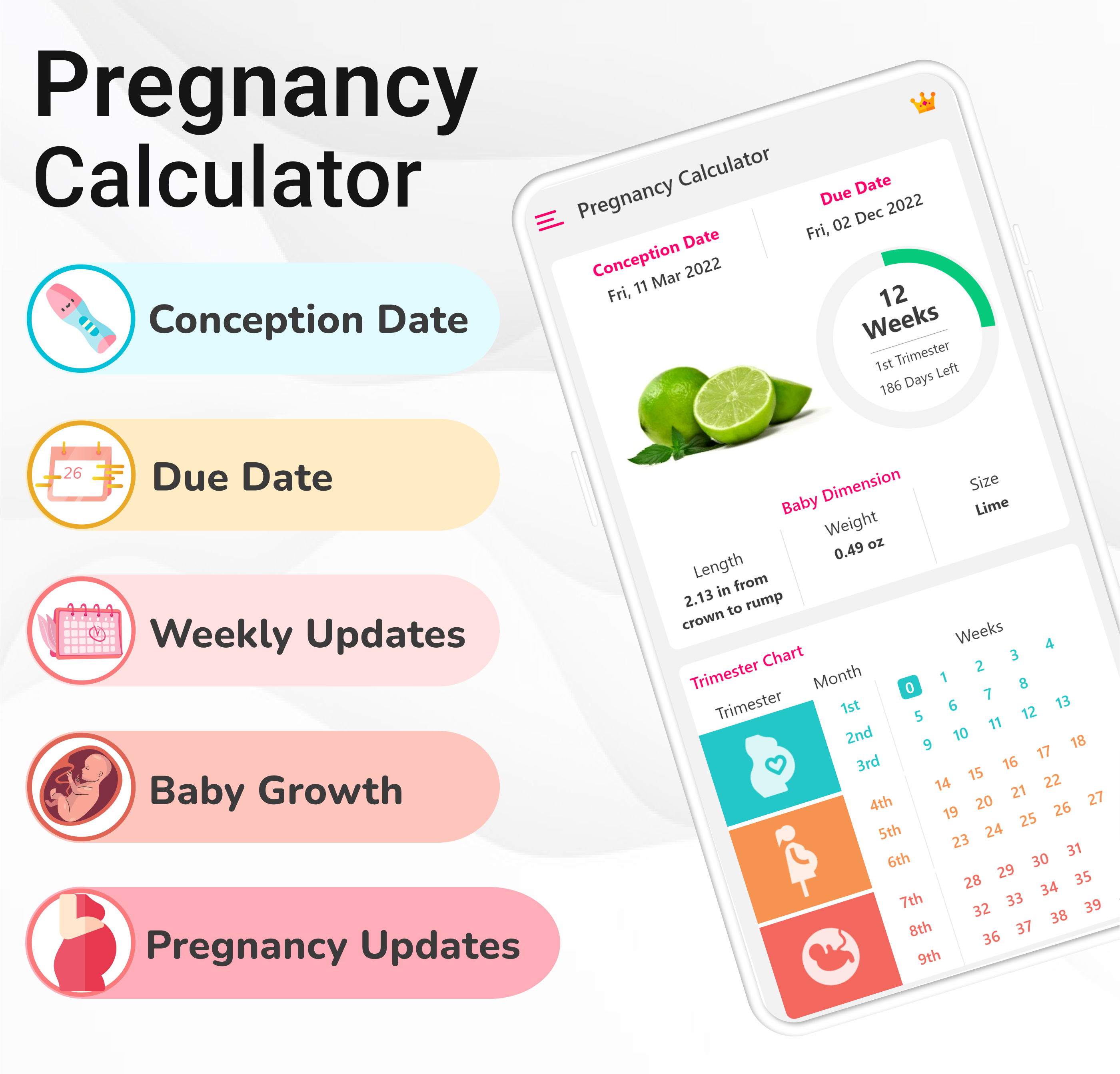 اسکرین شات 1 برنامه Pregnancy Calculator: Due Date