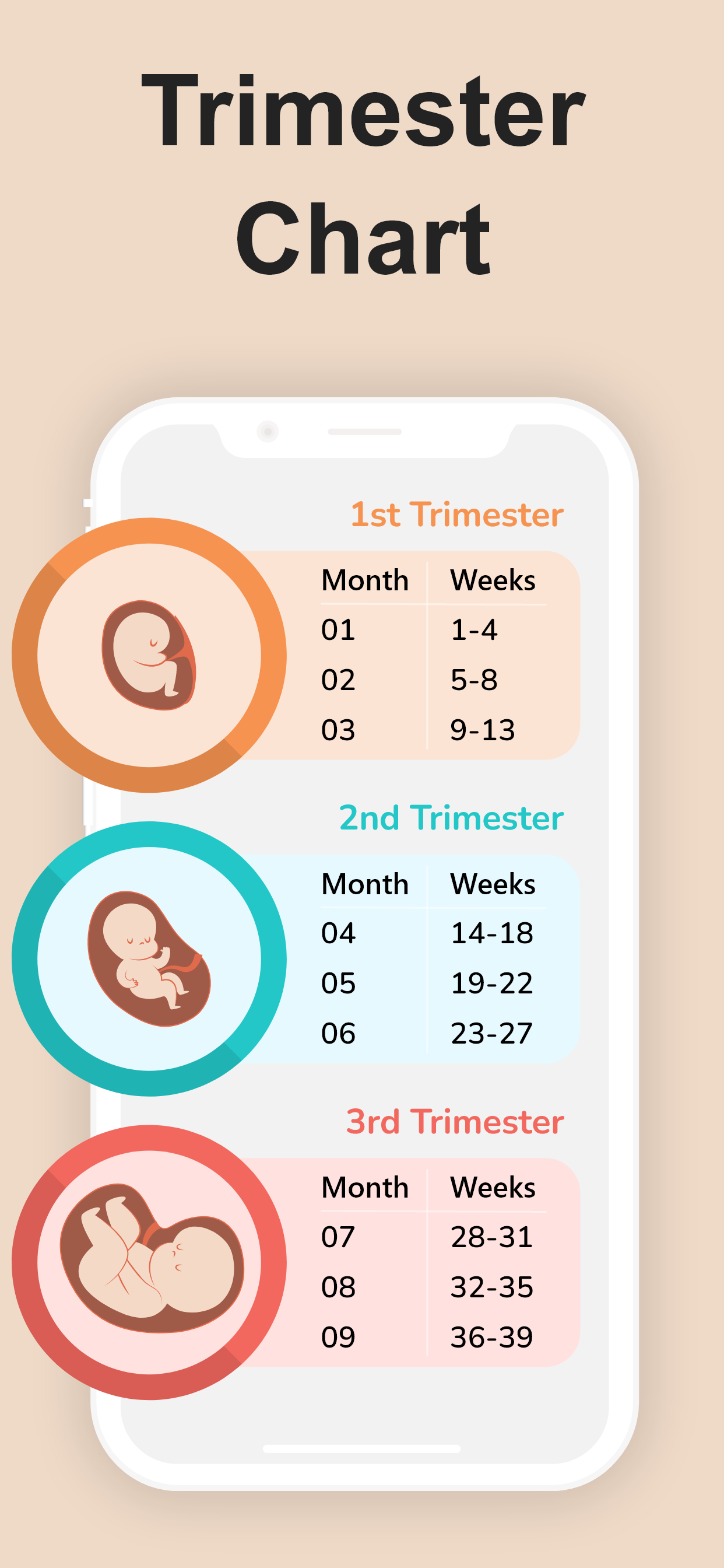 اسکرین شات 5 برنامه Pregnancy Calculator & Tracker