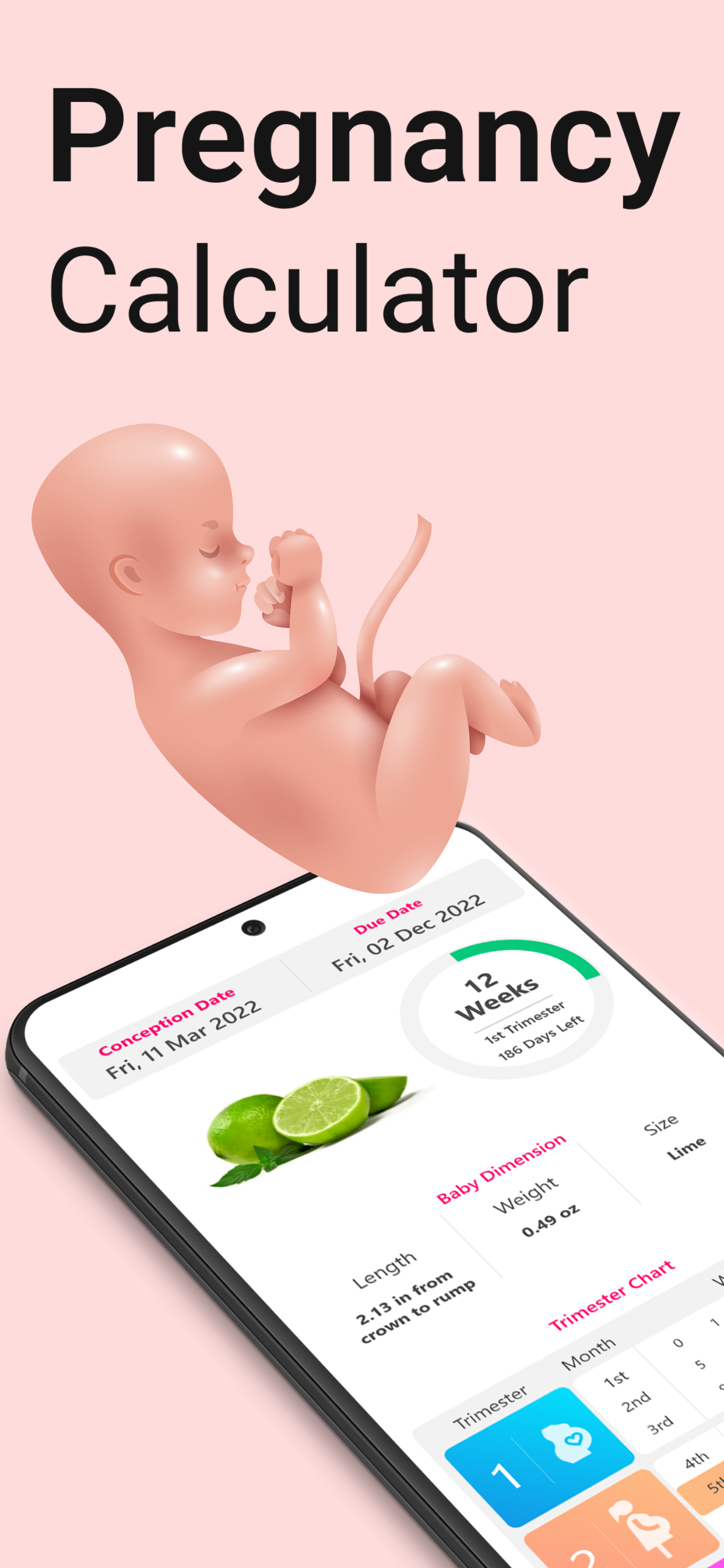 اسکرین شات 1 برنامه Pregnancy Calculator, Calendar