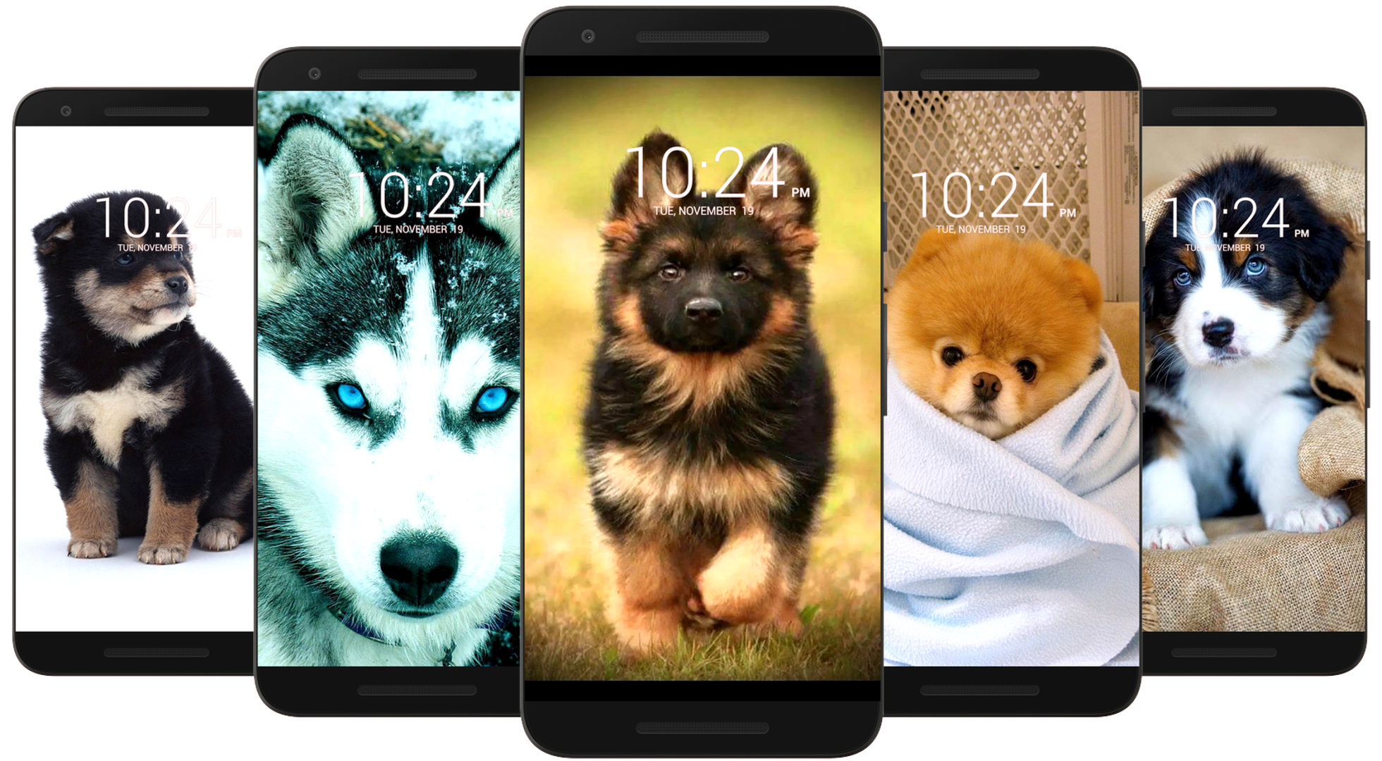 اسکرین شات 5 برنامه Dog Wallpaper HD