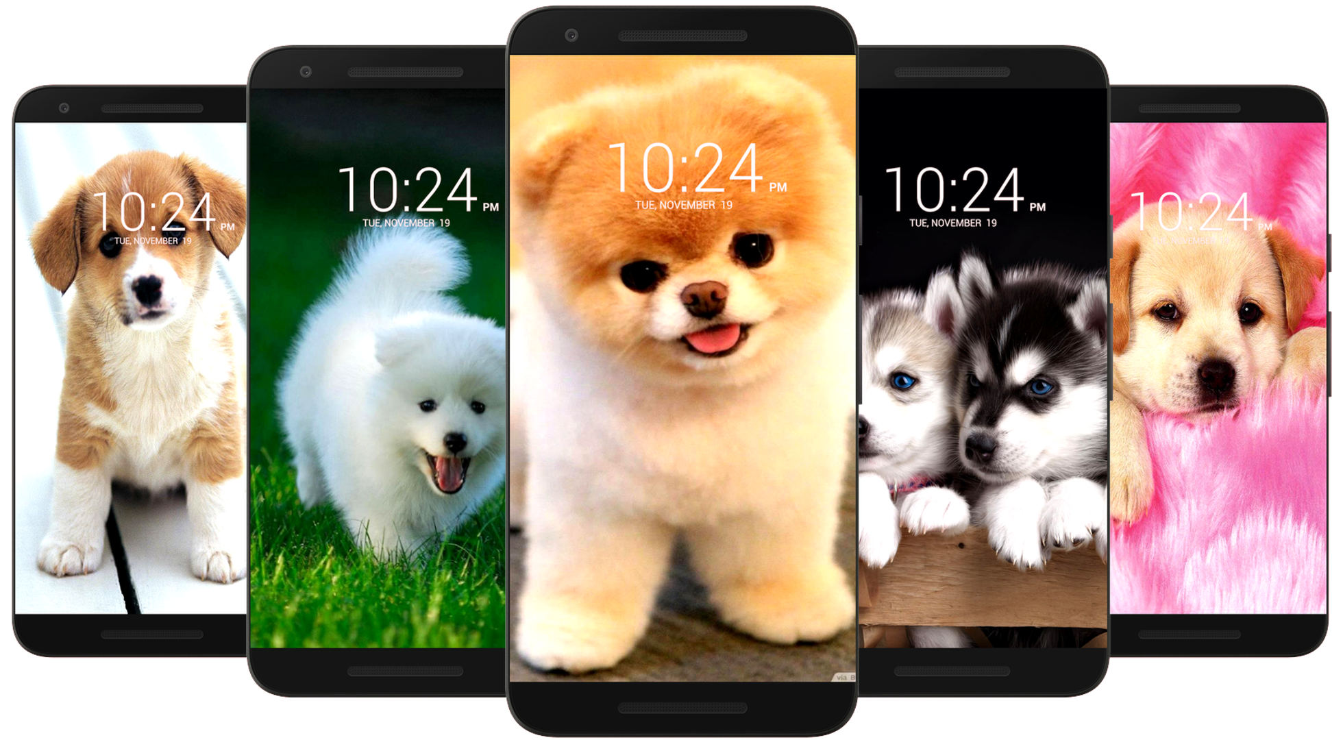 اسکرین شات 1 برنامه Dog Wallpaper HD