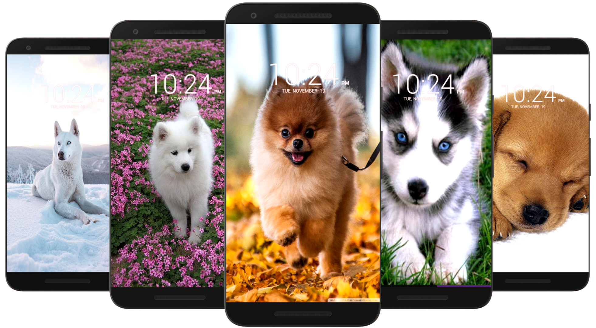 اسکرین شات 6 برنامه Dog Wallpaper HD