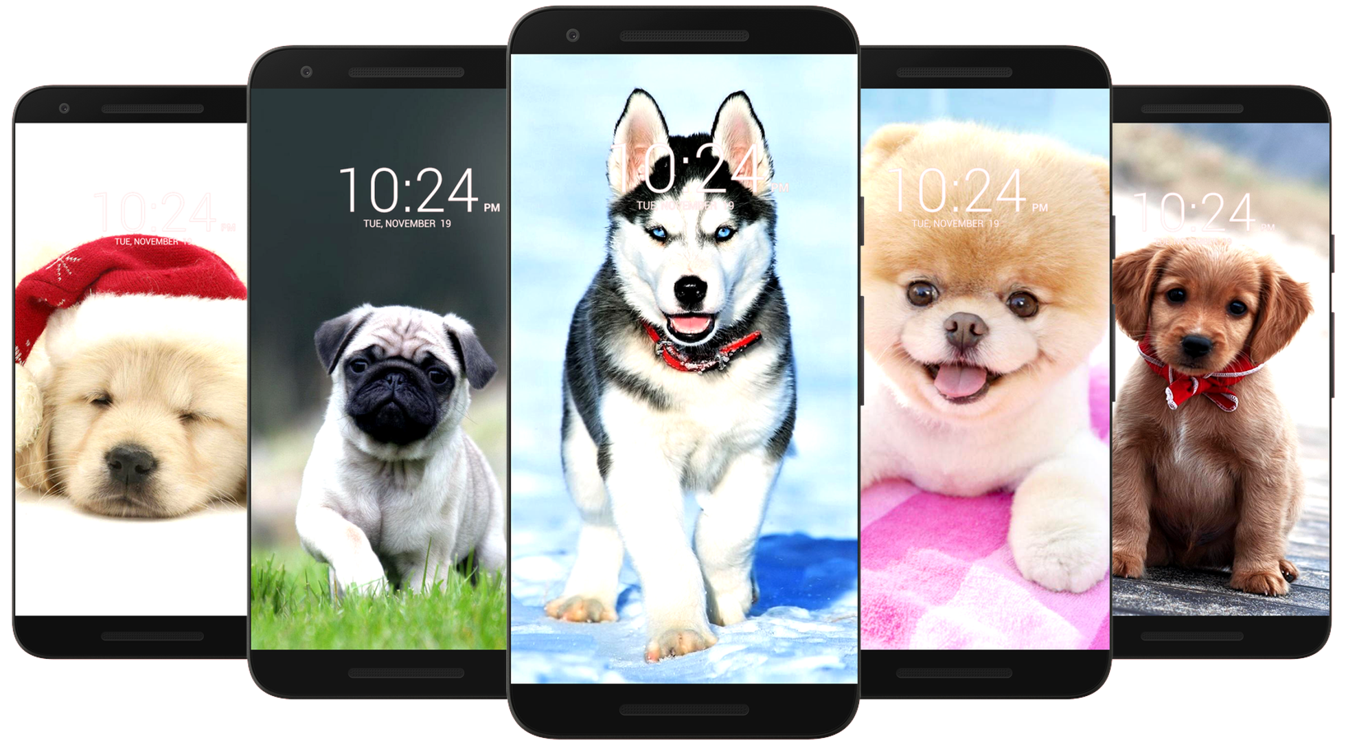 اسکرین شات 2 برنامه Dog Wallpaper HD