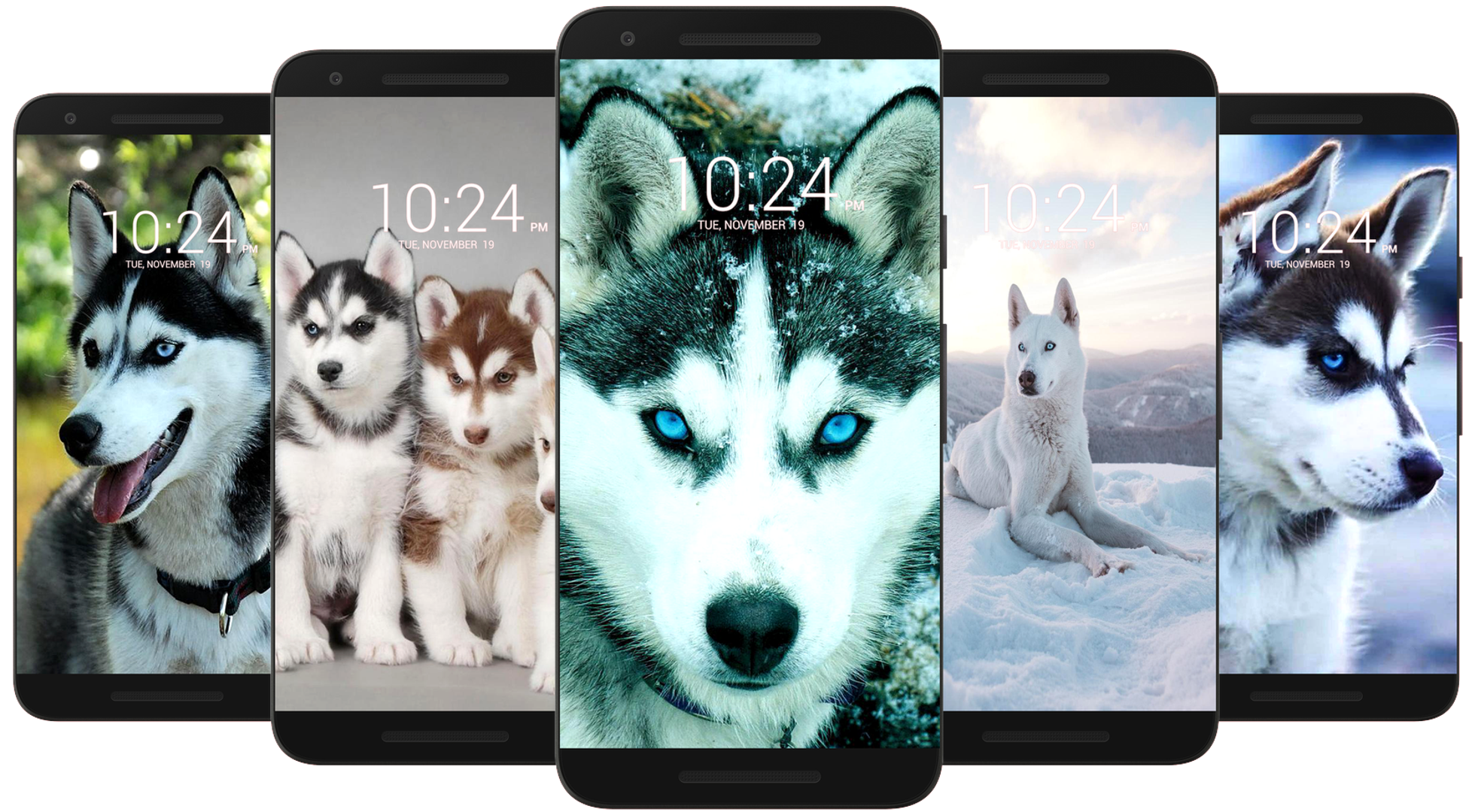 اسکرین شات 1 برنامه Husky Dog Wallpaper HD