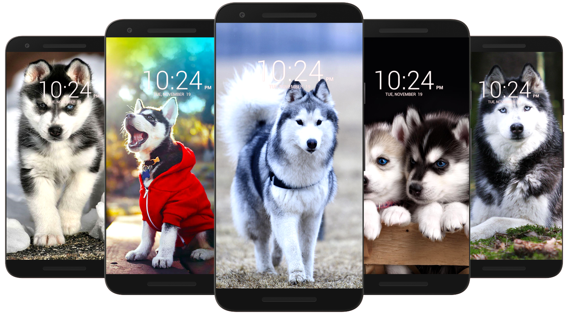 اسکرین شات 2 برنامه Husky Dog Wallpaper HD