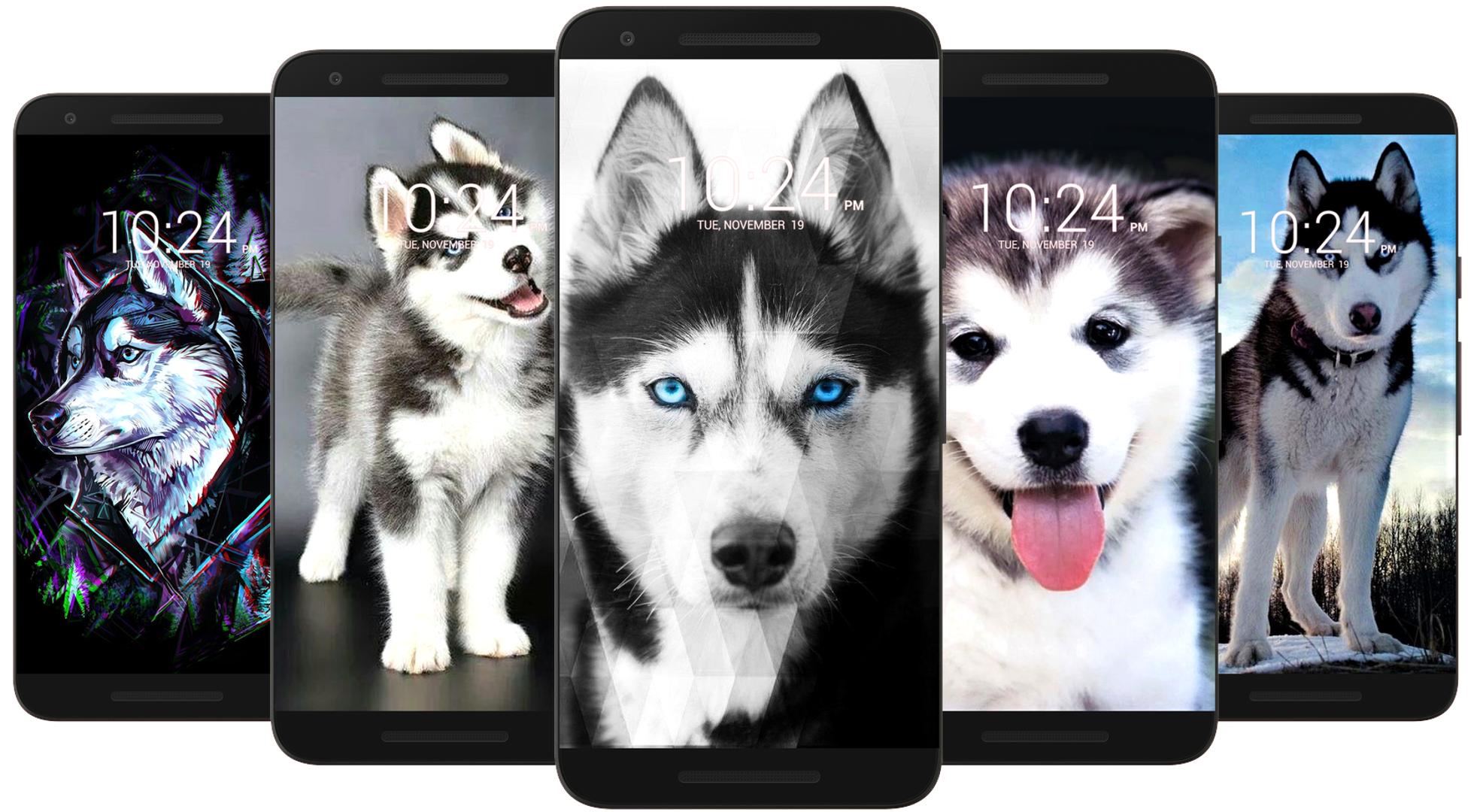 اسکرین شات 3 برنامه Husky Dog Wallpaper HD