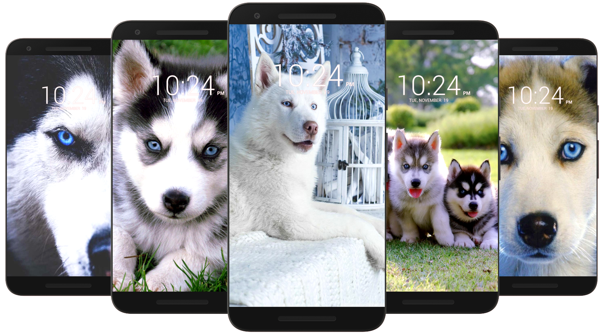 اسکرین شات 5 برنامه Husky Dog Wallpaper HD