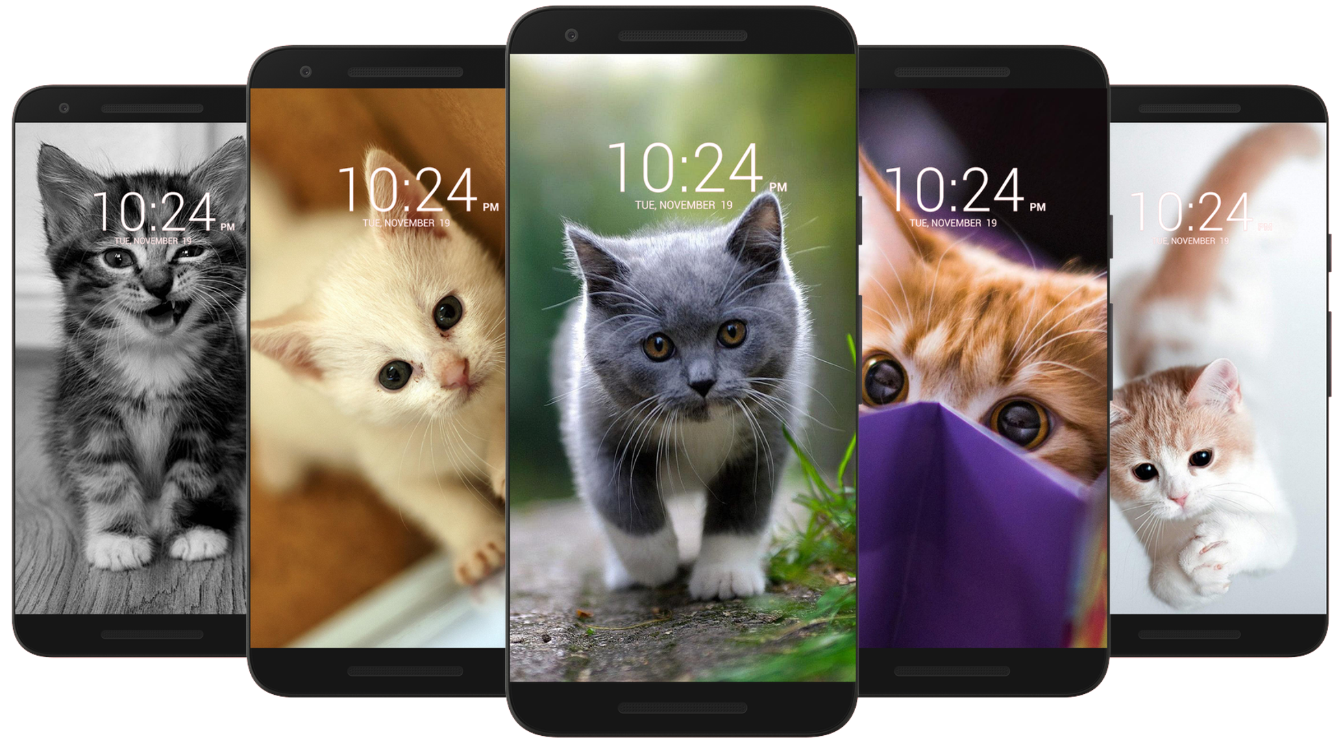 اسکرین شات 2 برنامه Kitten & Cute Cat Wallpaper HD