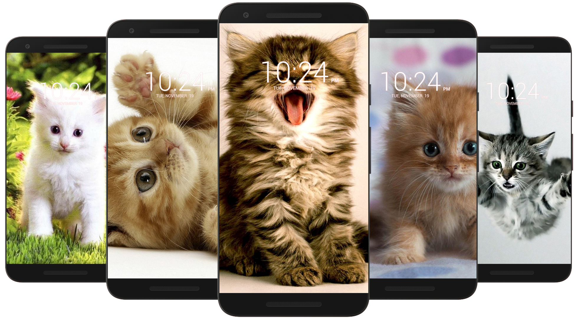 اسکرین شات 3 برنامه Kitten & Cute Cat Wallpaper HD