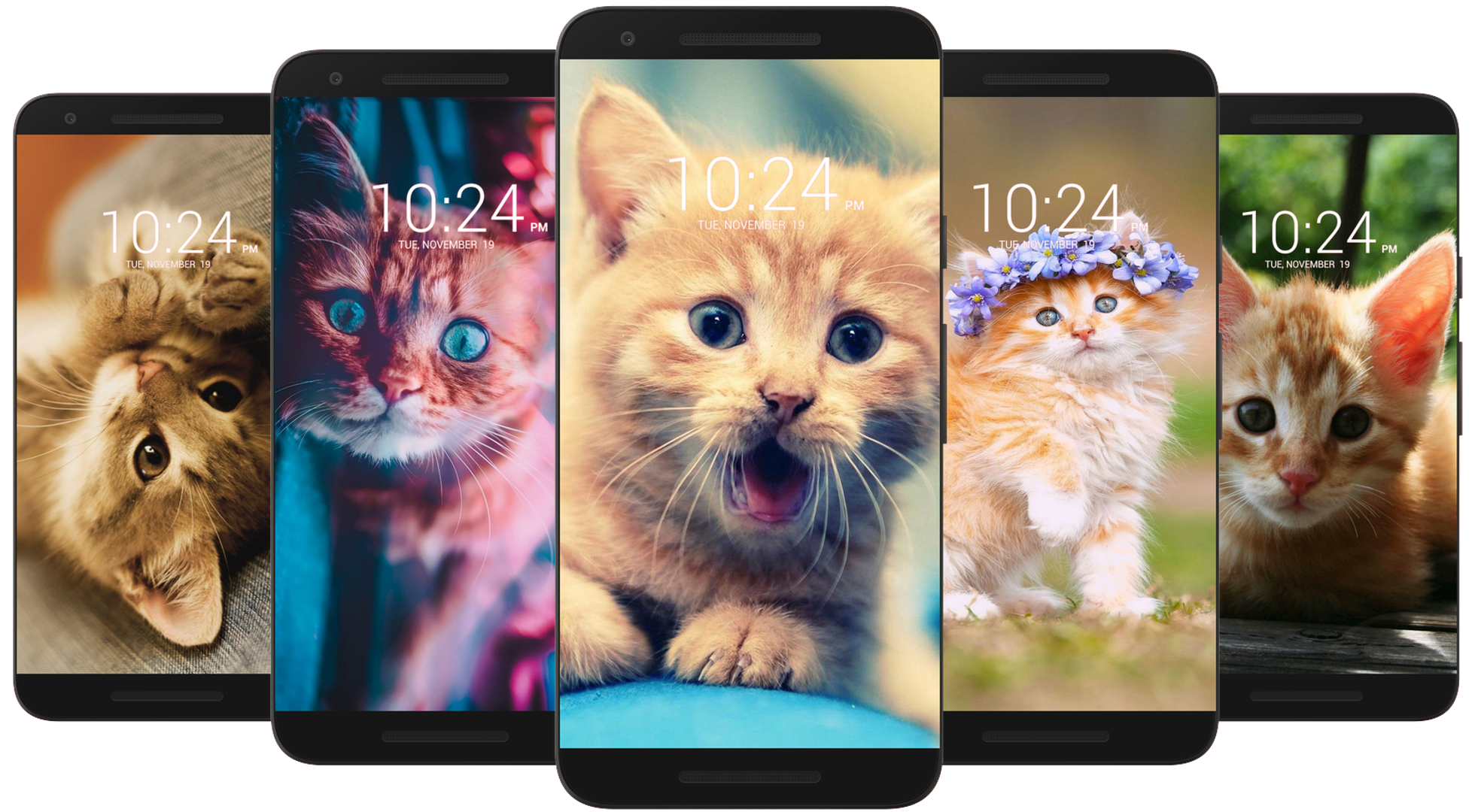 اسکرین شات 6 برنامه Kitten & Cute Cat Wallpaper HD