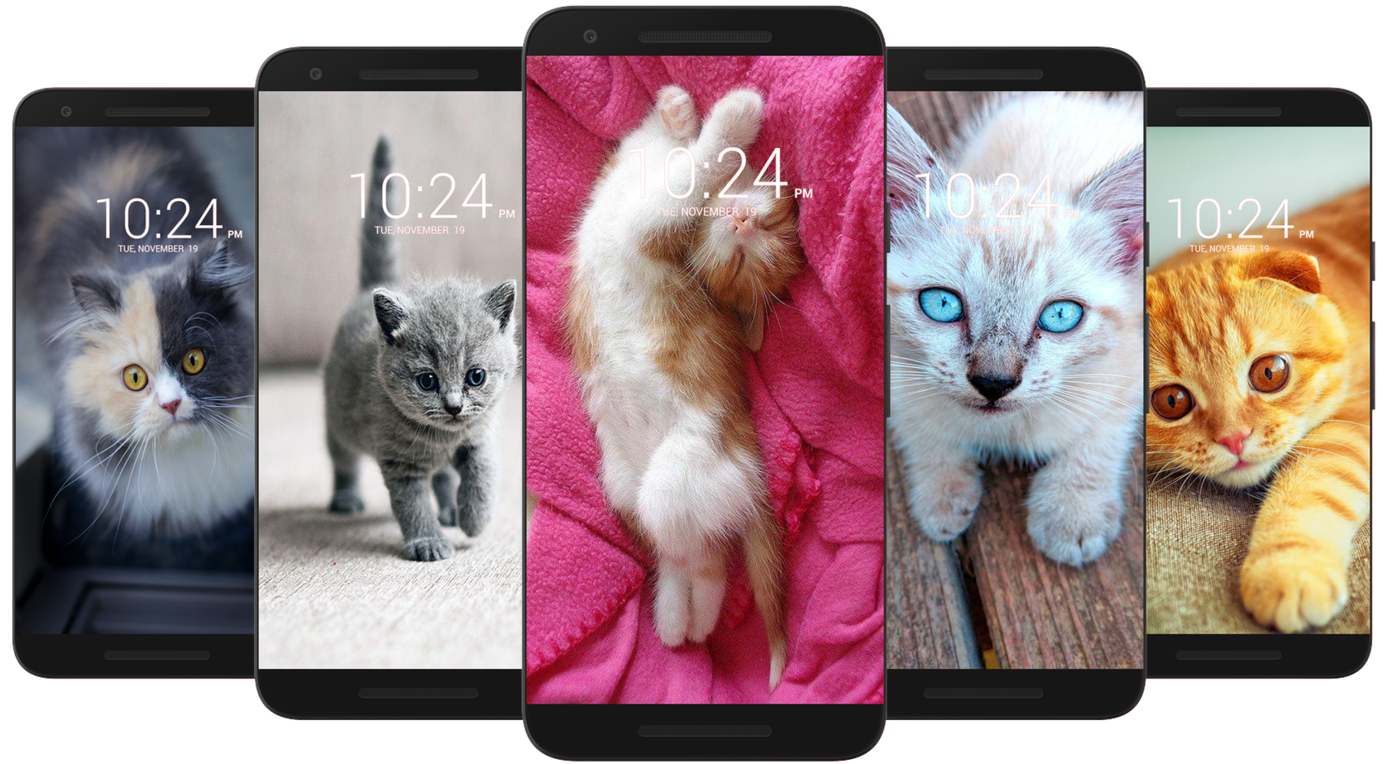 اسکرین شات 1 برنامه Kitten & Cute Cat Wallpaper HD