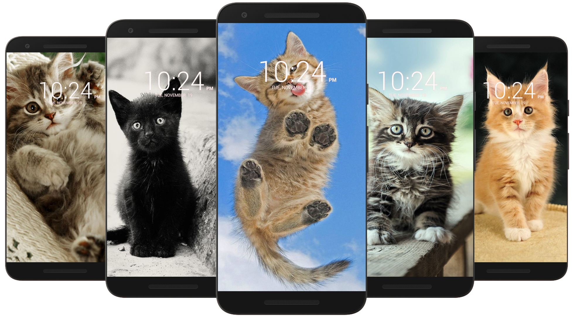 اسکرین شات 4 برنامه Kitten & Cute Cat Wallpaper HD
