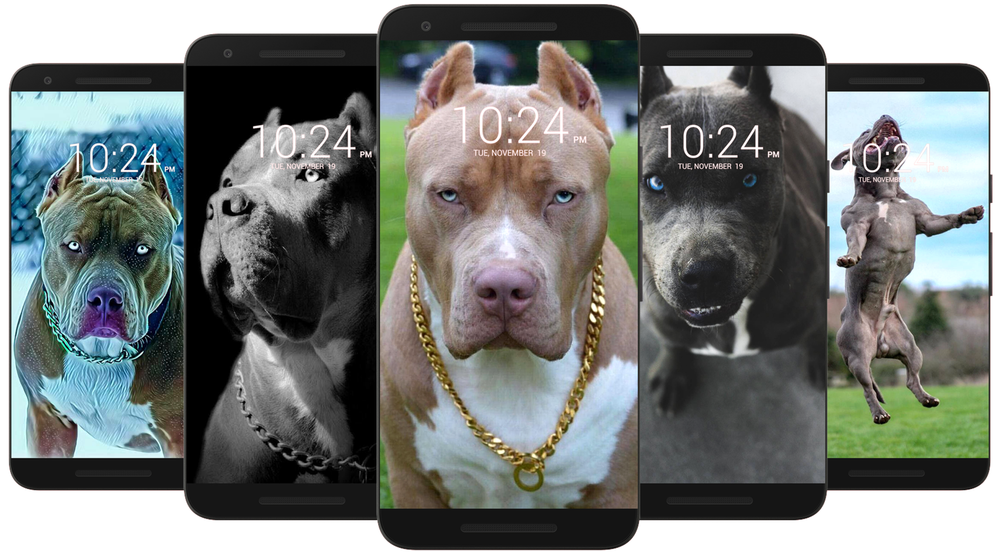اسکرین شات 3 برنامه Pitbull Wallpaper HD