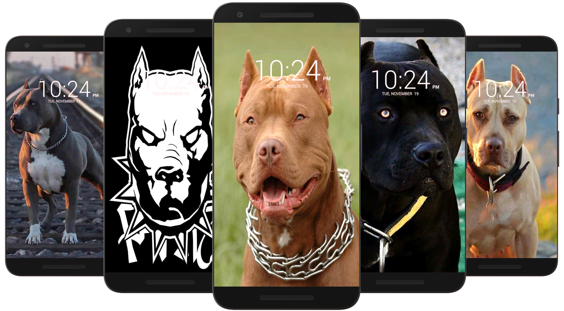 اسکرین شات 5 برنامه Pitbull Wallpaper HD