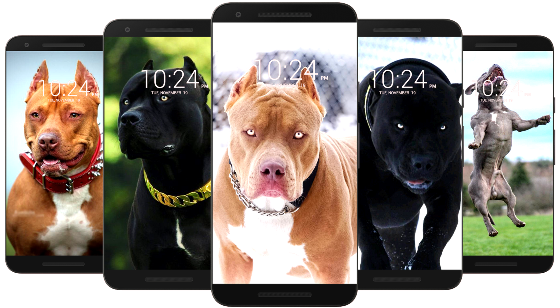 اسکرین شات 1 برنامه Pitbull Wallpaper HD