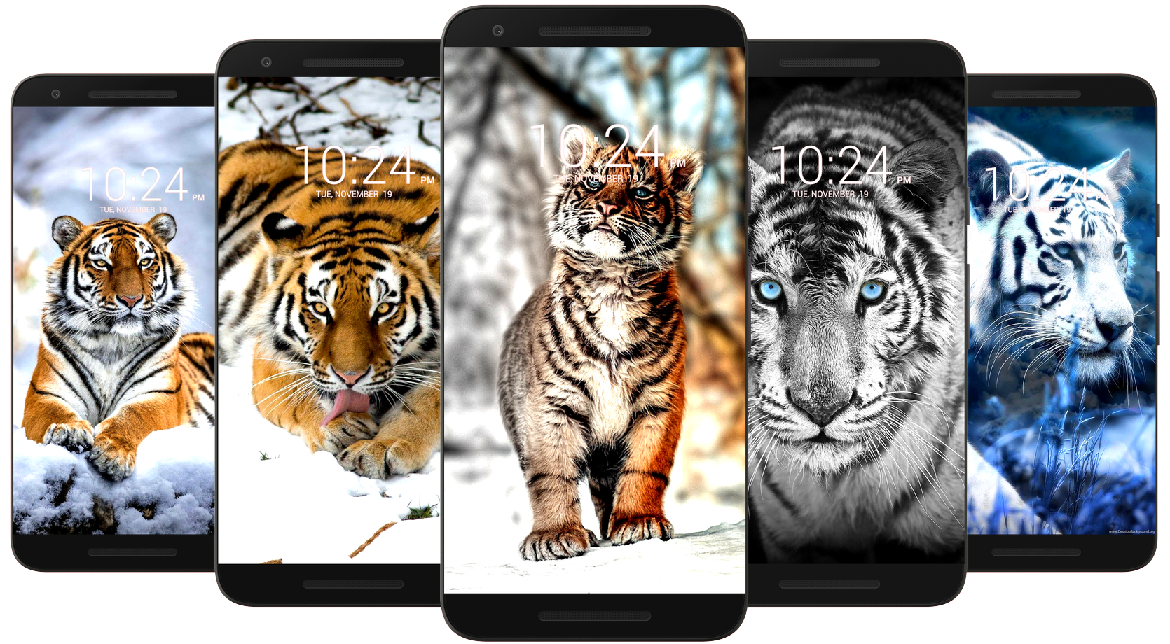 اسکرین شات 5 برنامه Tiger Wallpaper HD & 4K