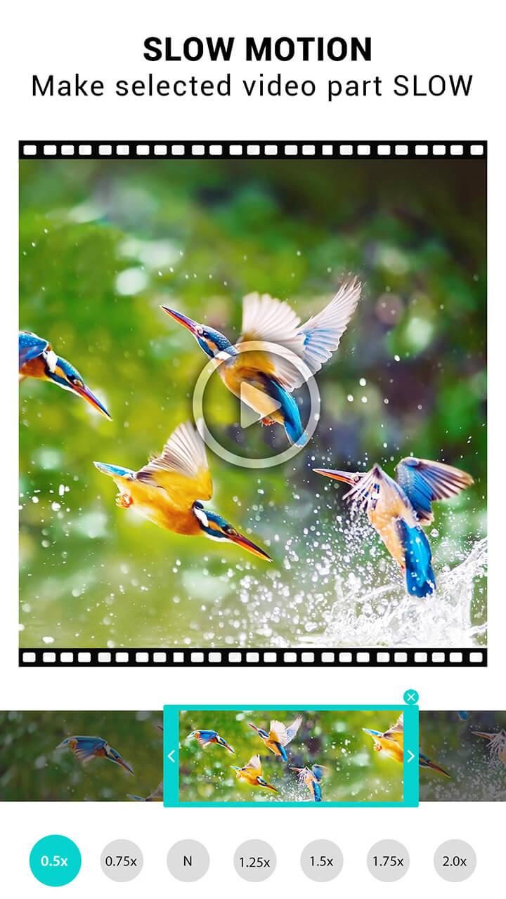 اسکرین شات 1 برنامه Video Speed Changer: SlowMo