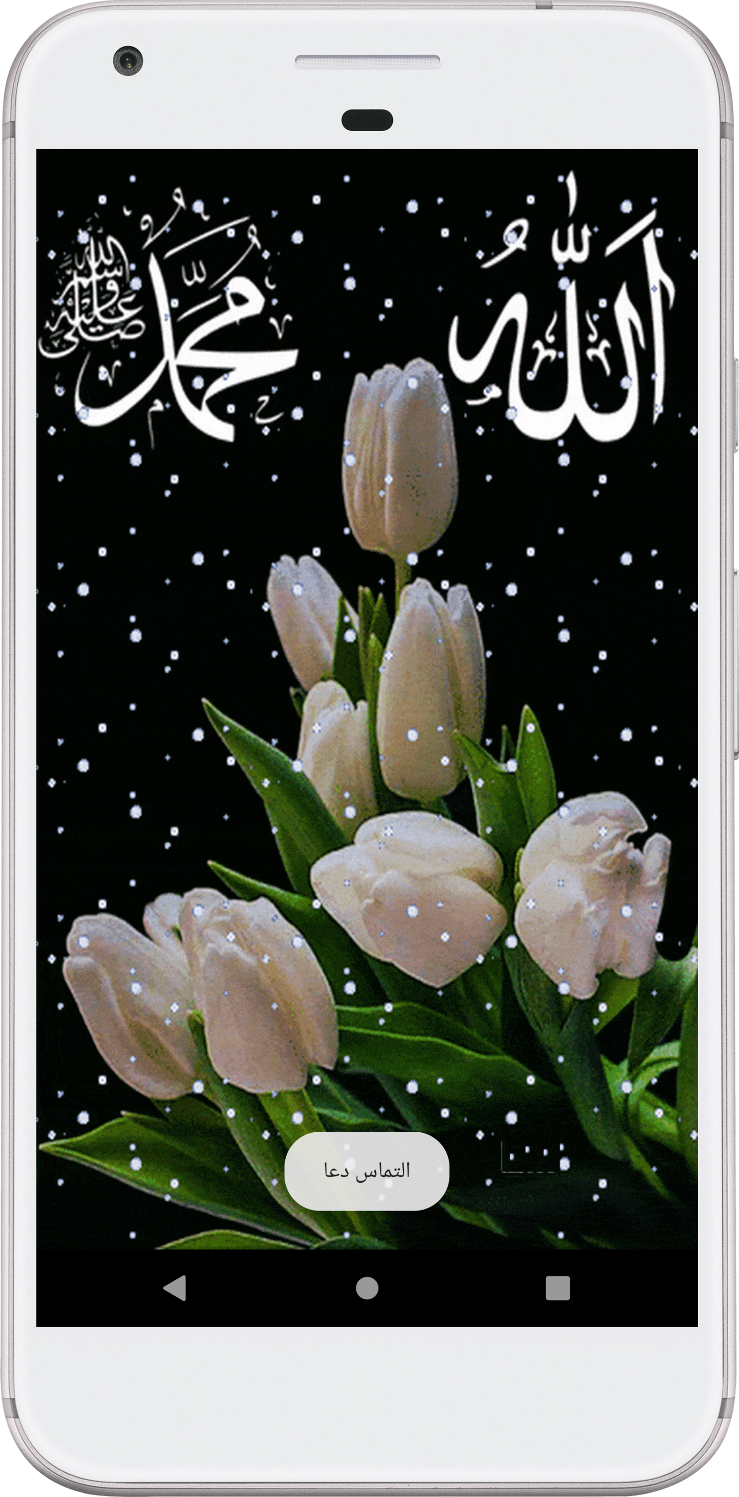 اسکرین شات 7 برنامه قرآن صوتی کودک