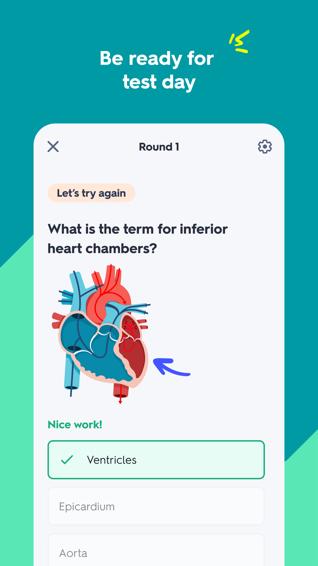 اسکرین شات 3 برنامه Quizlet: AI-powered Flashcards