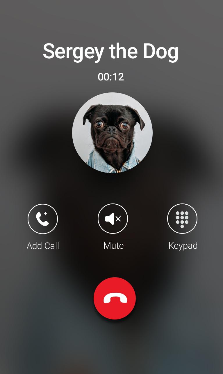 اسکرین شات 2 برنامه Fake Call Prank- Animals
