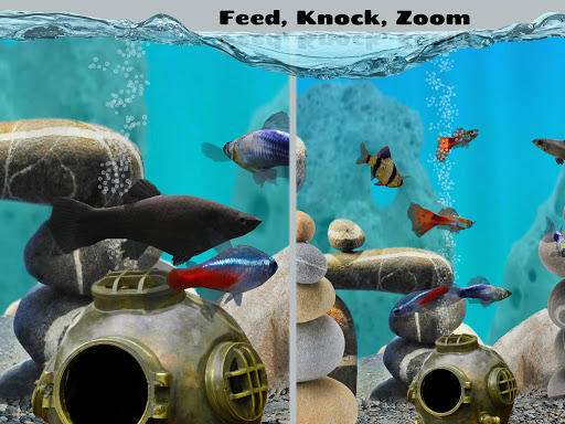اسکرین شات 5 بازی Fish Farm 2