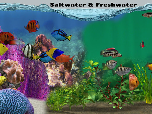 اسکرین شات 8 بازی Fish Farm 2