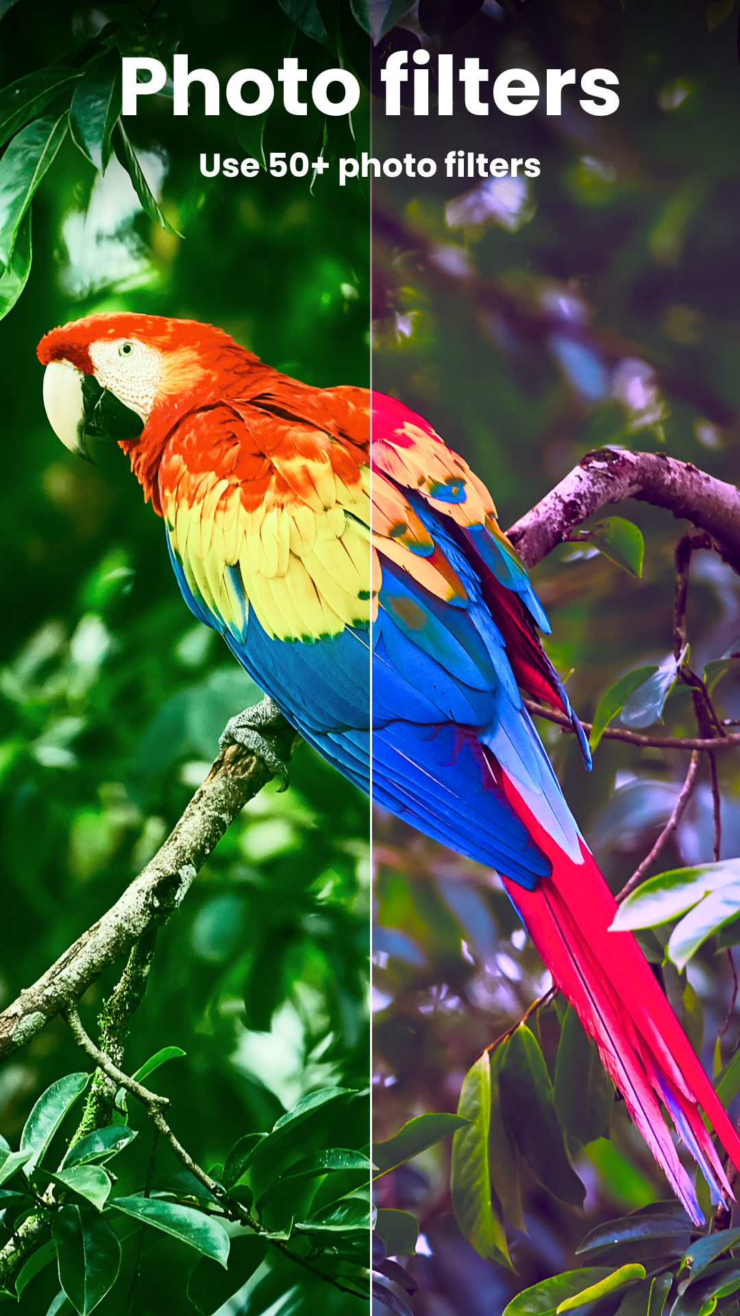 اسکرین شات 5 برنامه Enhance it - AI Photo Editor