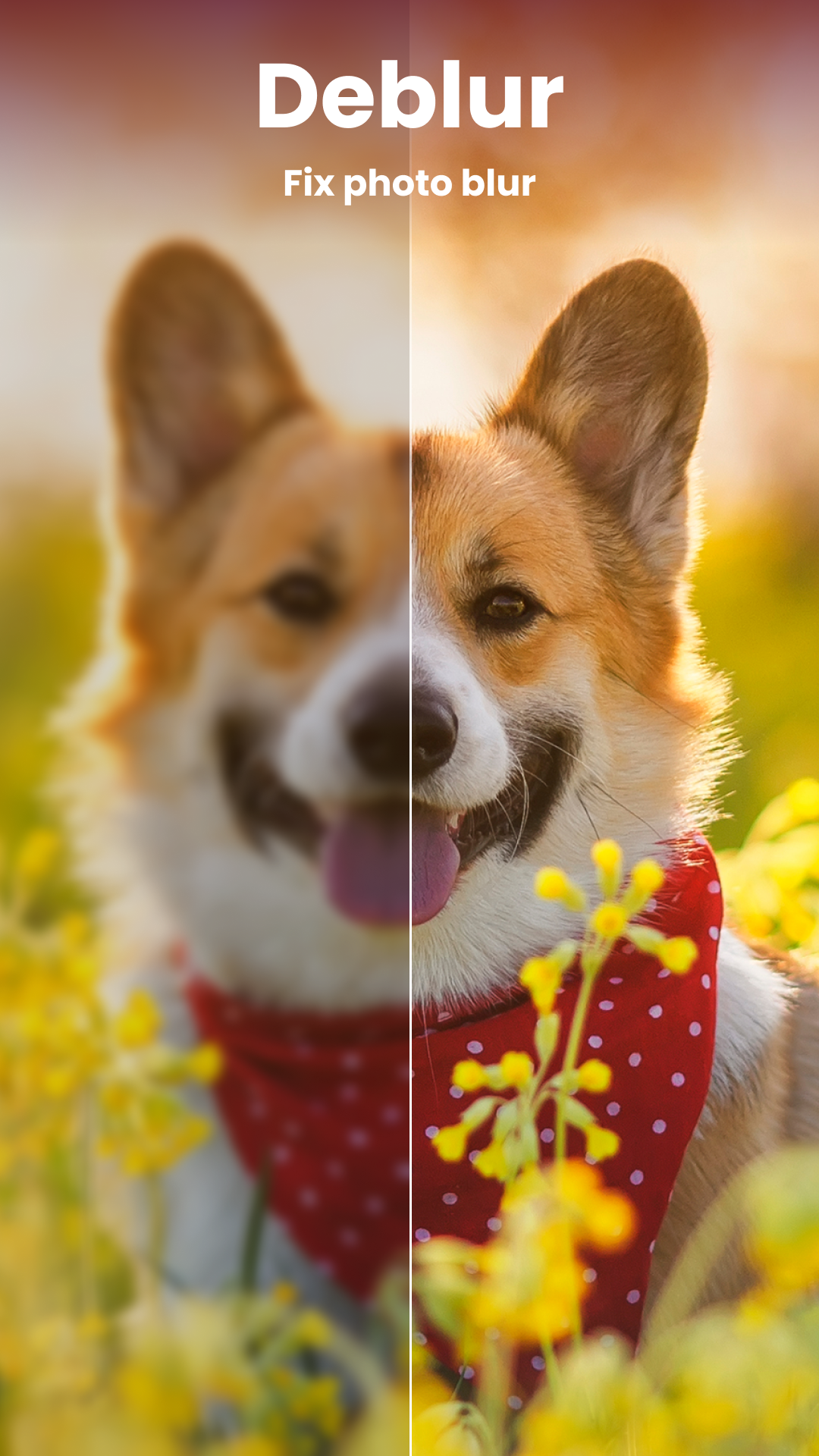 اسکرین شات 2 برنامه Enhance it - AI Photo Editor