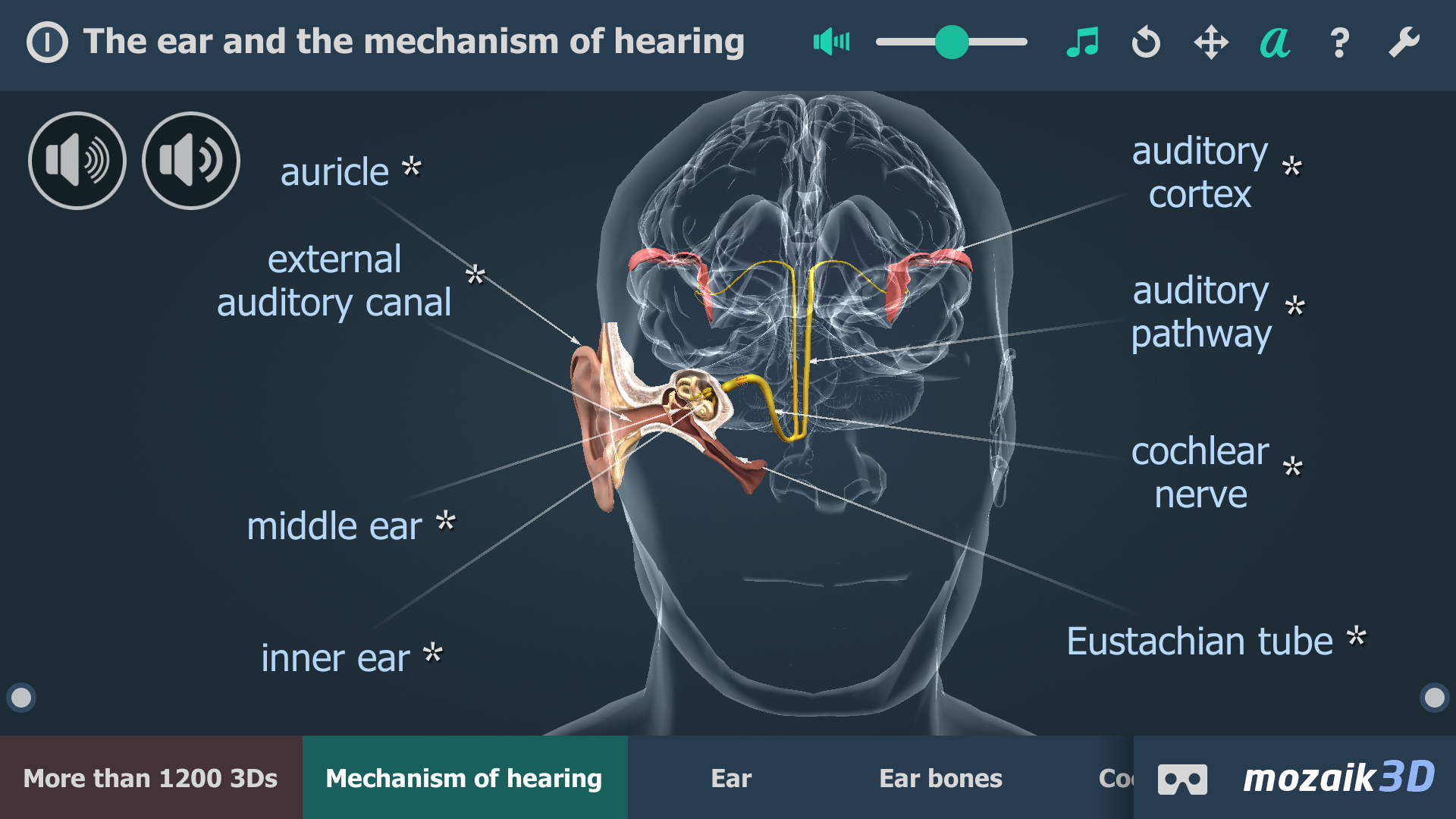 اسکرین شات برنامه The mechanism of hearing 3D 1