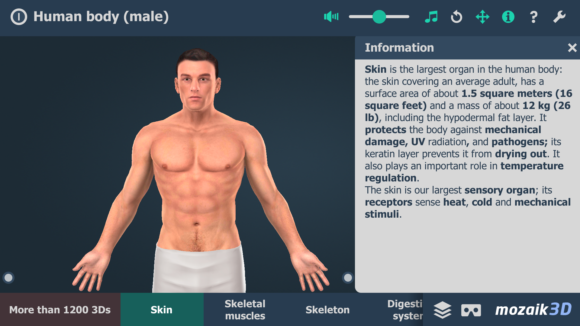 اسکرین شات 1 برنامه Human body (male) 3D scene