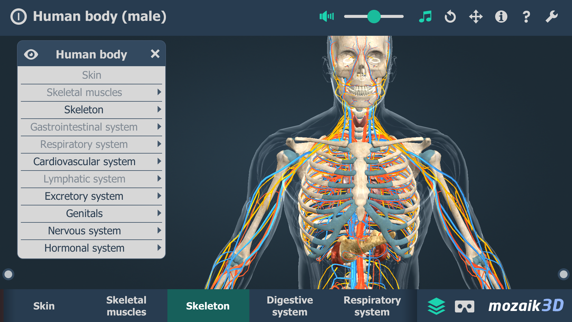 اسکرین شات 4 برنامه Human body (male) 3D scene