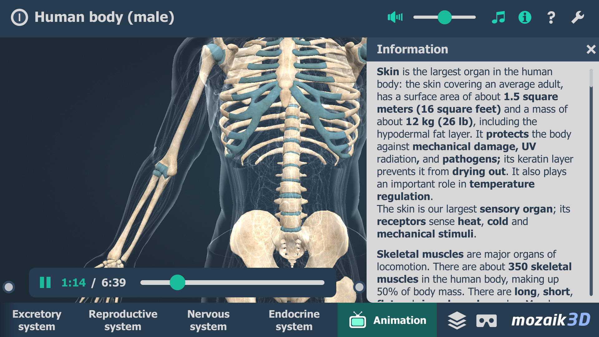 اسکرین شات 6 برنامه Human body (male) 3D scene