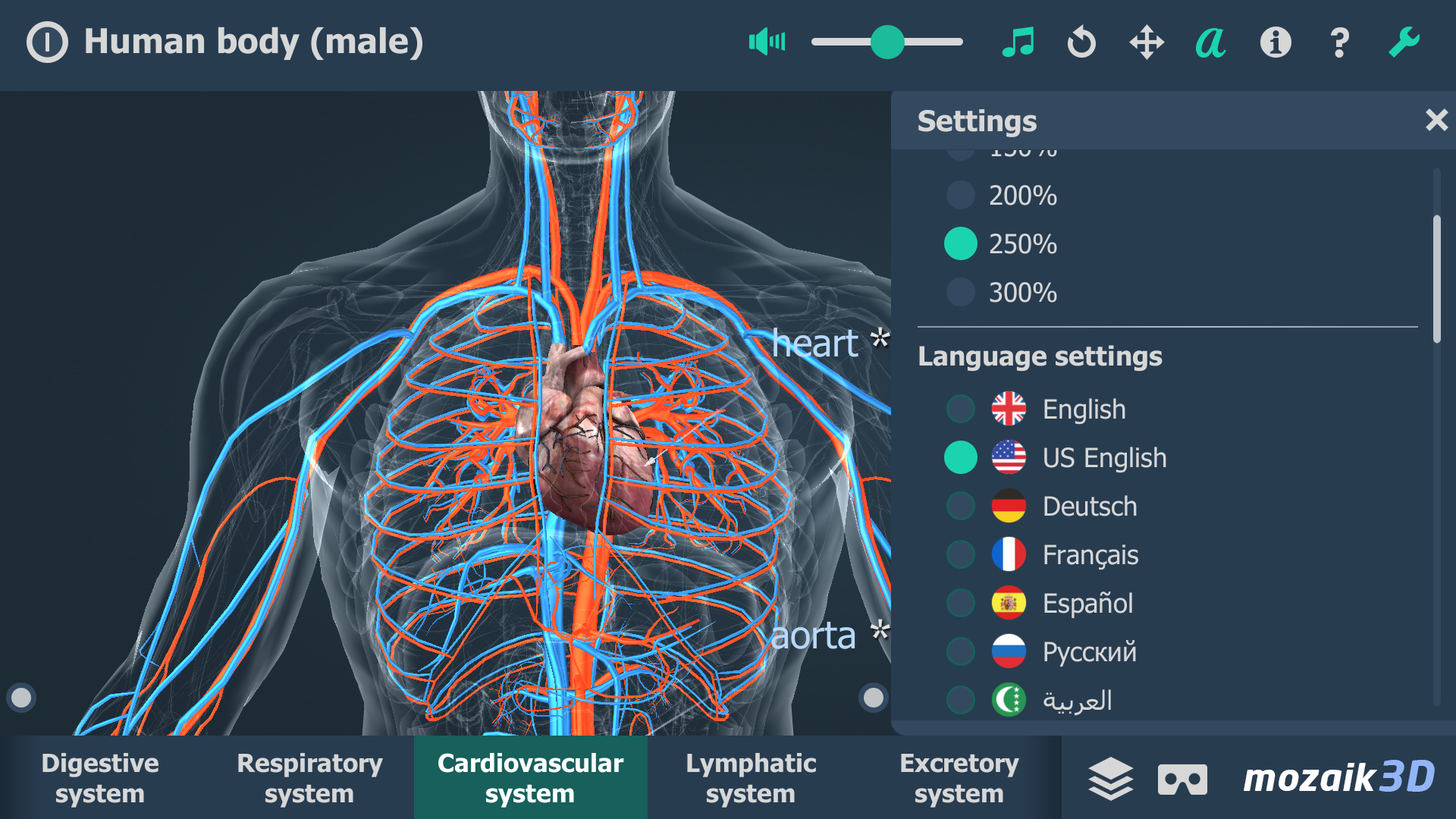 اسکرین شات 2 برنامه Human body (male) 3D scene