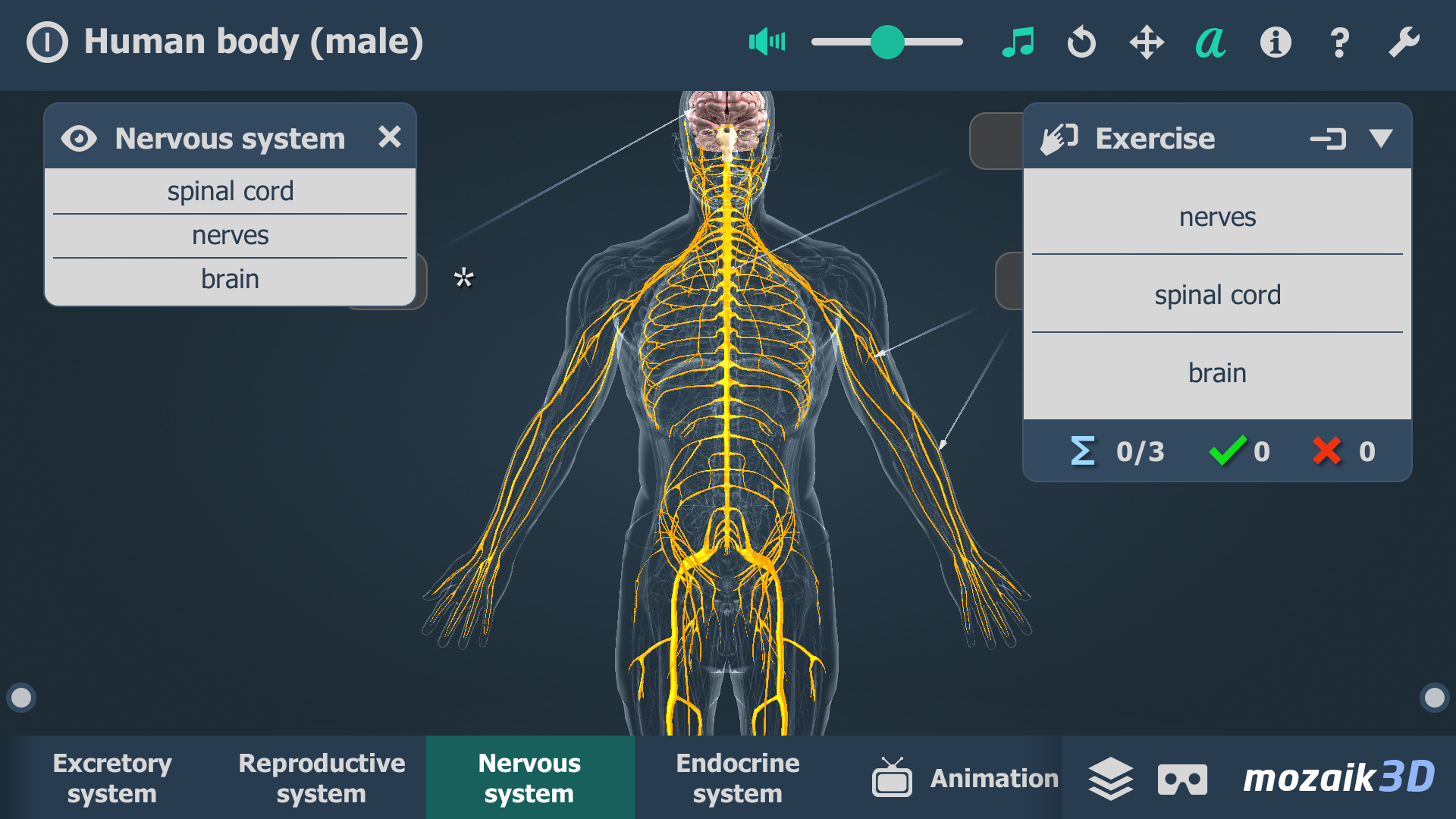 اسکرین شات 5 برنامه Human body (male) 3D scene