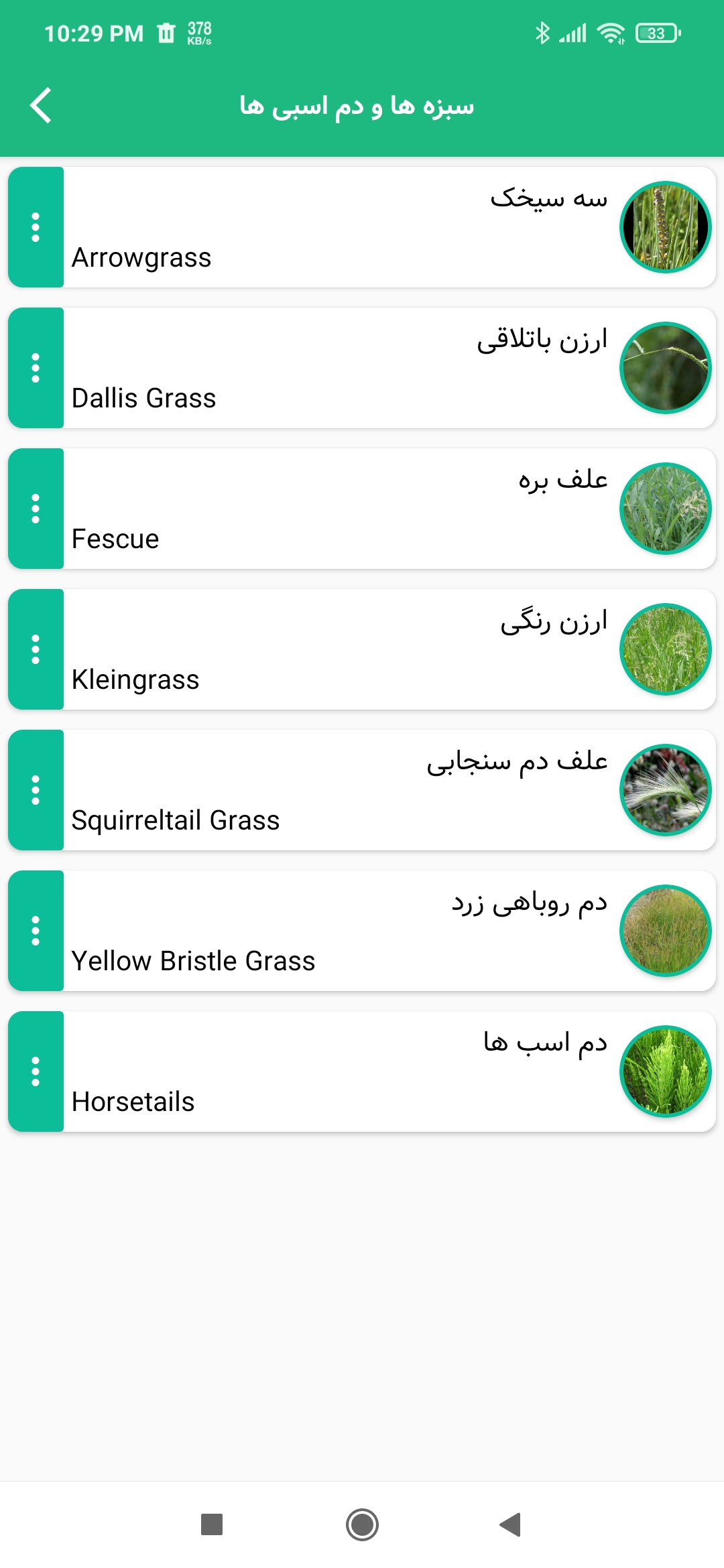 اسکرین شات 7 برنامه راهنمای هوشمند گیاهان سمی برای اسب
