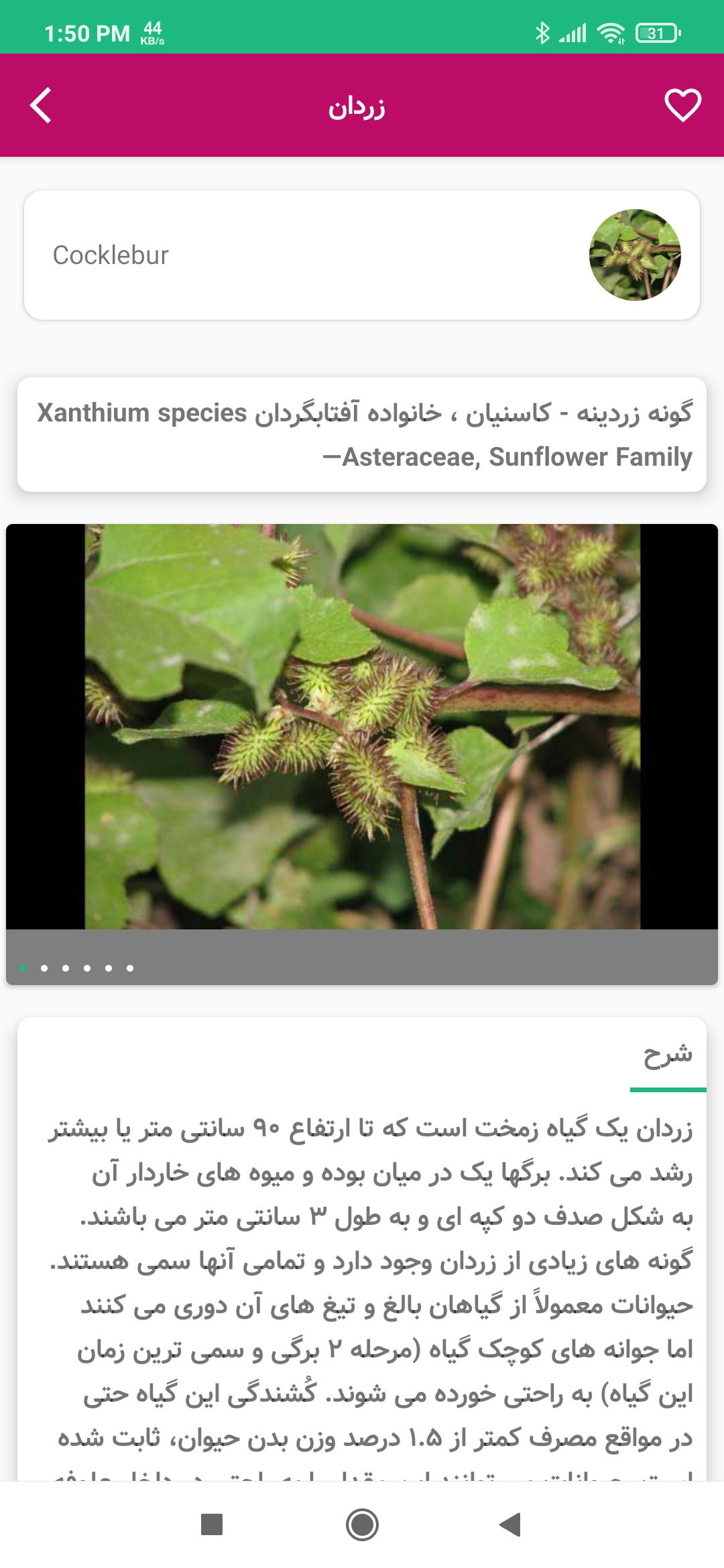 اسکرین شات 3 برنامه راهنمای هوشمند گیاهان سمی برای اسب
