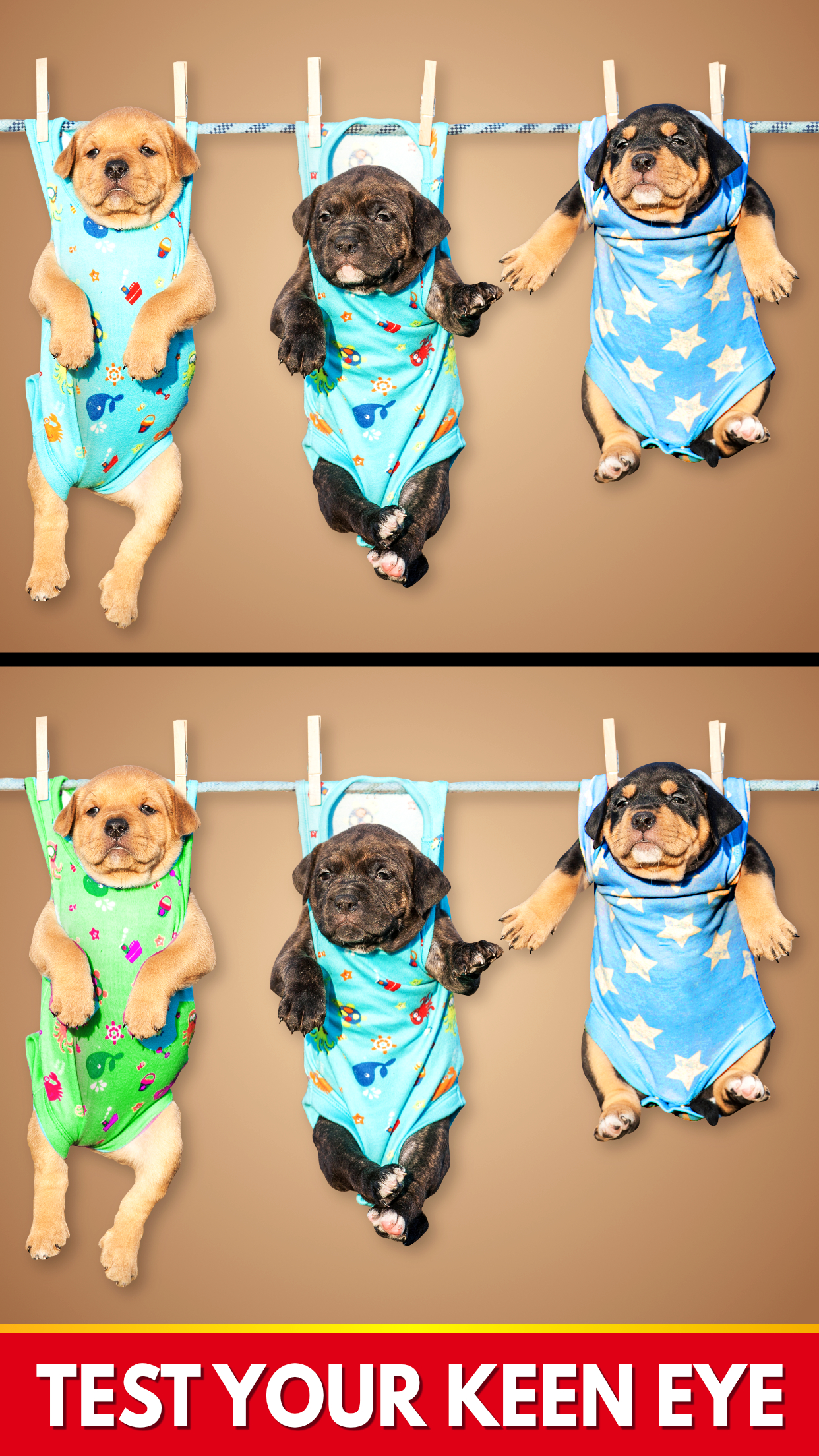 اسکرین شات 3 بازی Find The Differences - Spot it