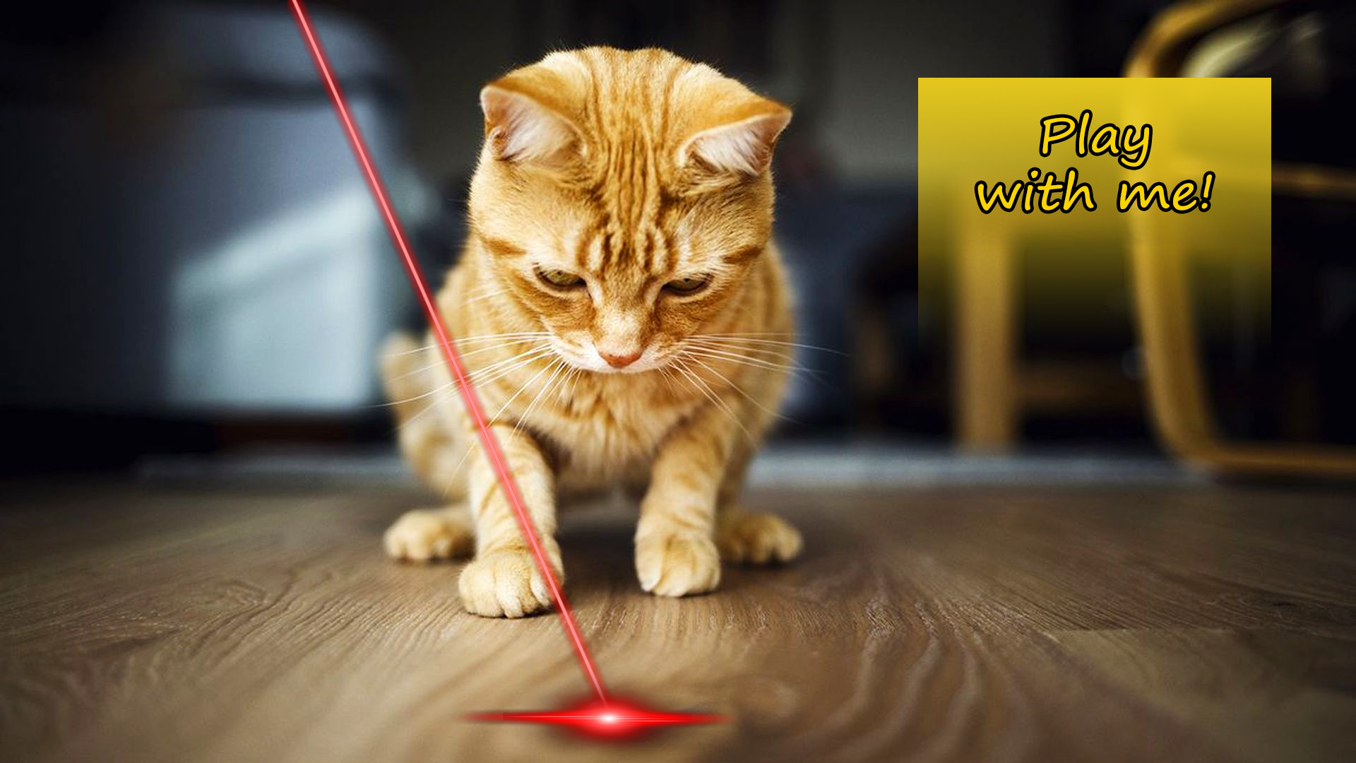 اسکرین شات 1 بازی Laser for cat. Lazer simulator