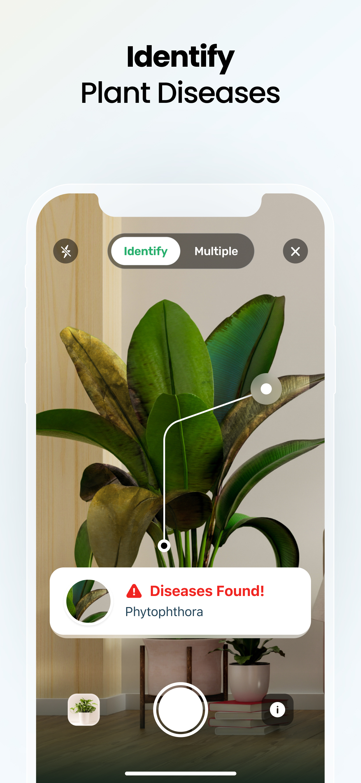 اسکرین شات 3 برنامه Plant App - Plant Identifier
