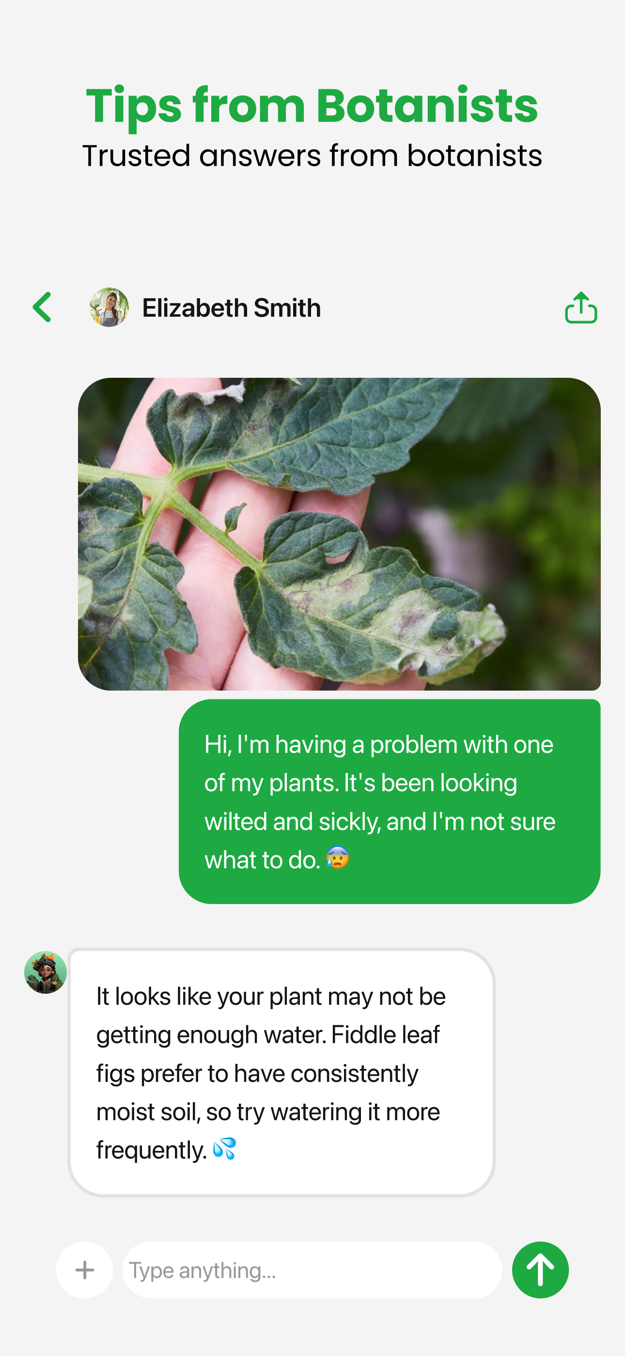 اسکرین شات 6 برنامه Plant App - Plant Identifier