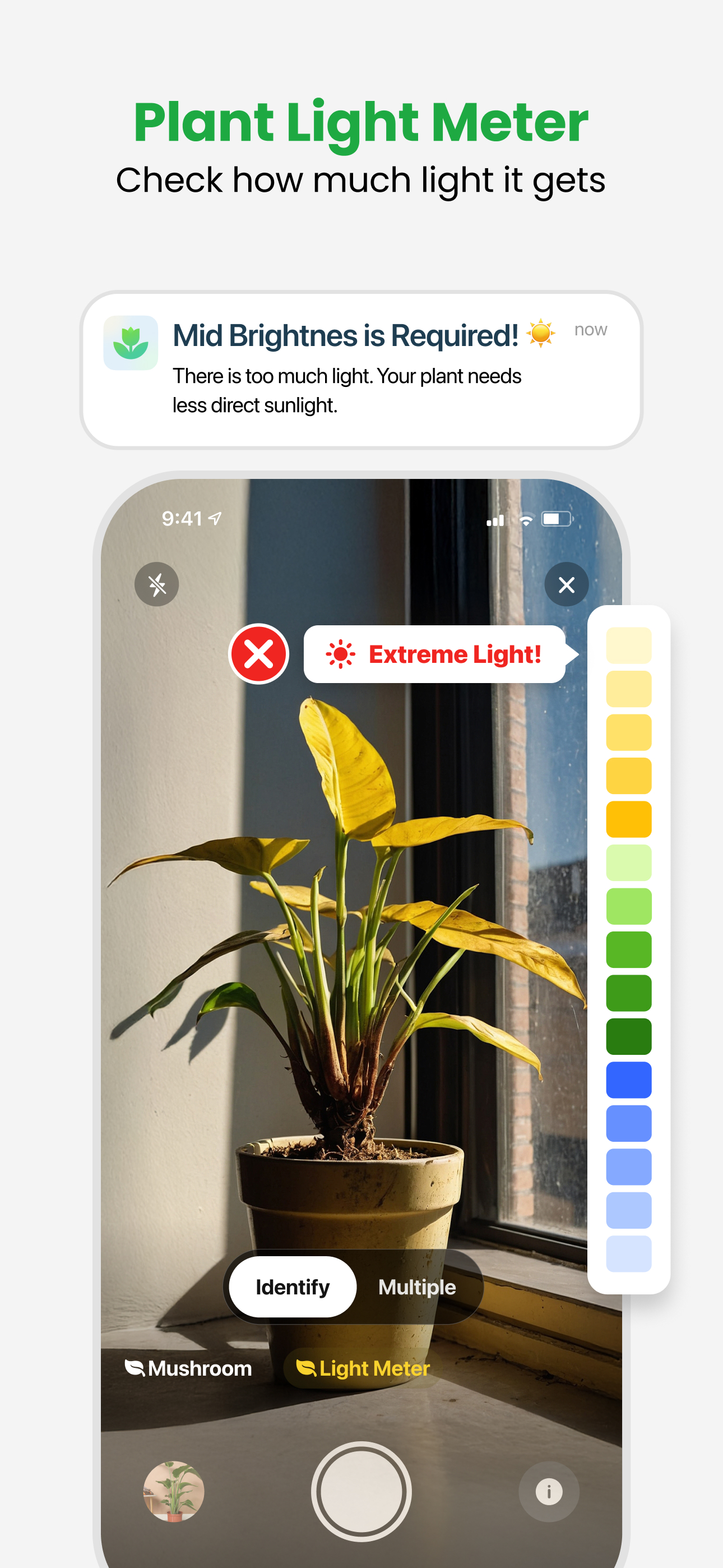 اسکرین شات 7 برنامه Plant App - Plant Identifier