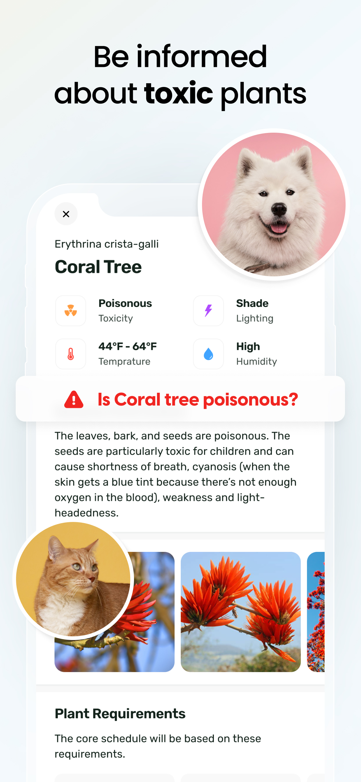 اسکرین شات 5 برنامه Plant App - Plant Identifier