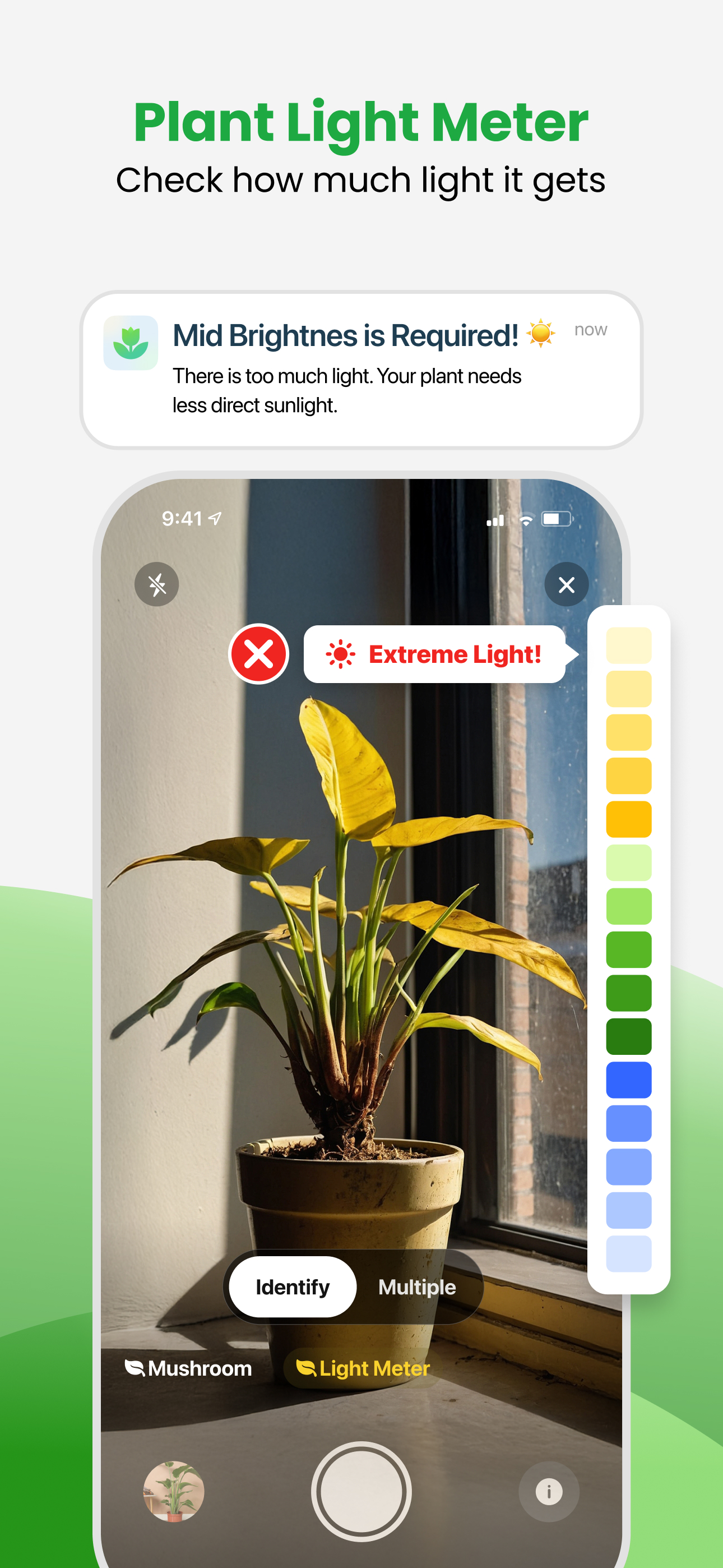 اسکرین شات 7 برنامه Plant App - Plant Identifier