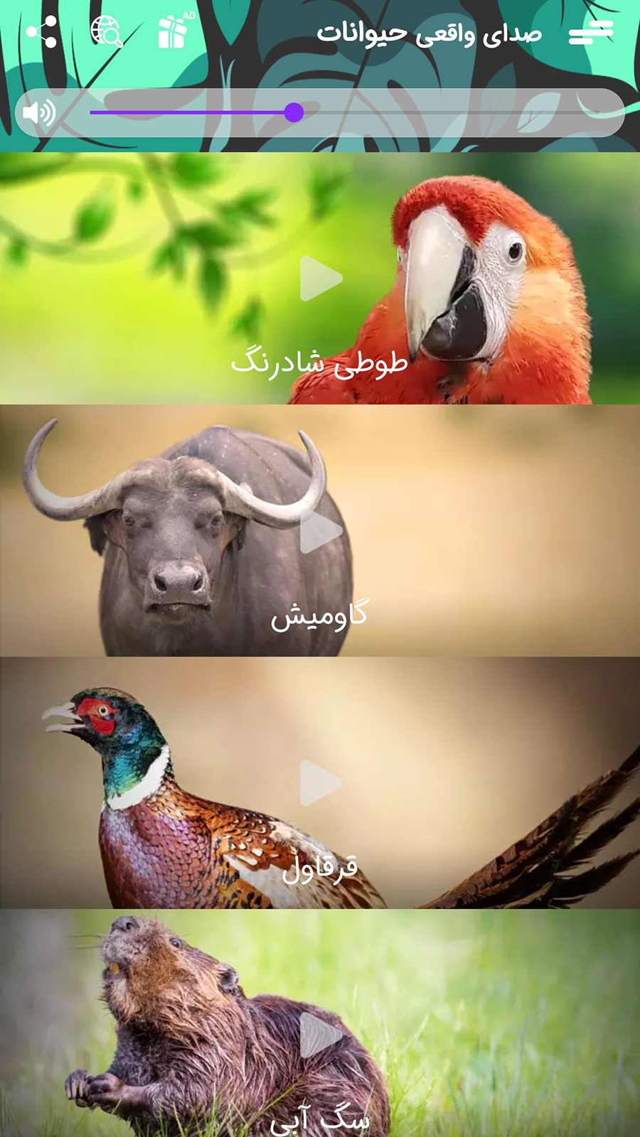 اسکرین شات 2 برنامه صدای واقعی حیوانات برای کودکان 2024