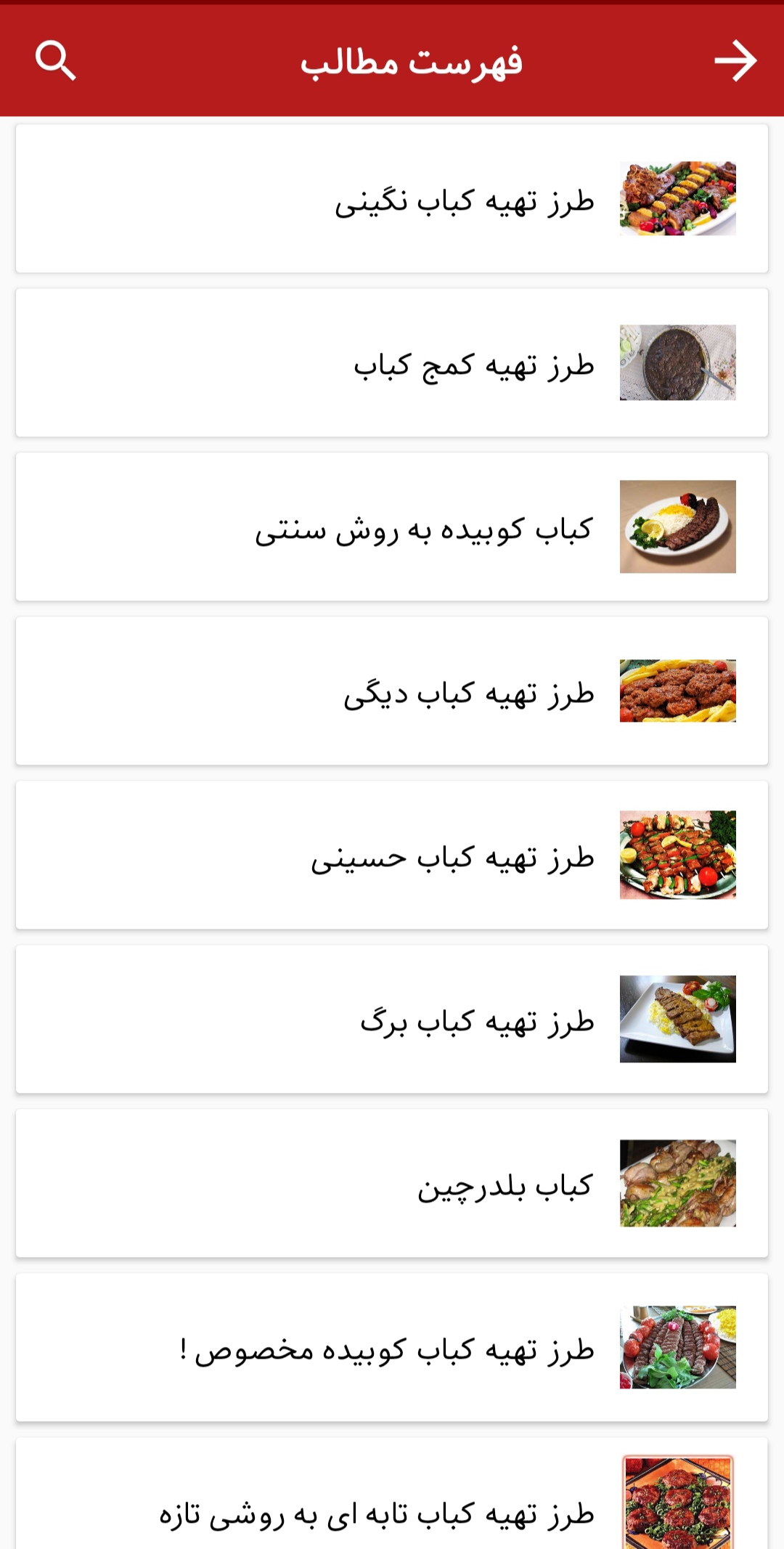 اسکرین شات 2 برنامه طرز تهیه انواع کباب