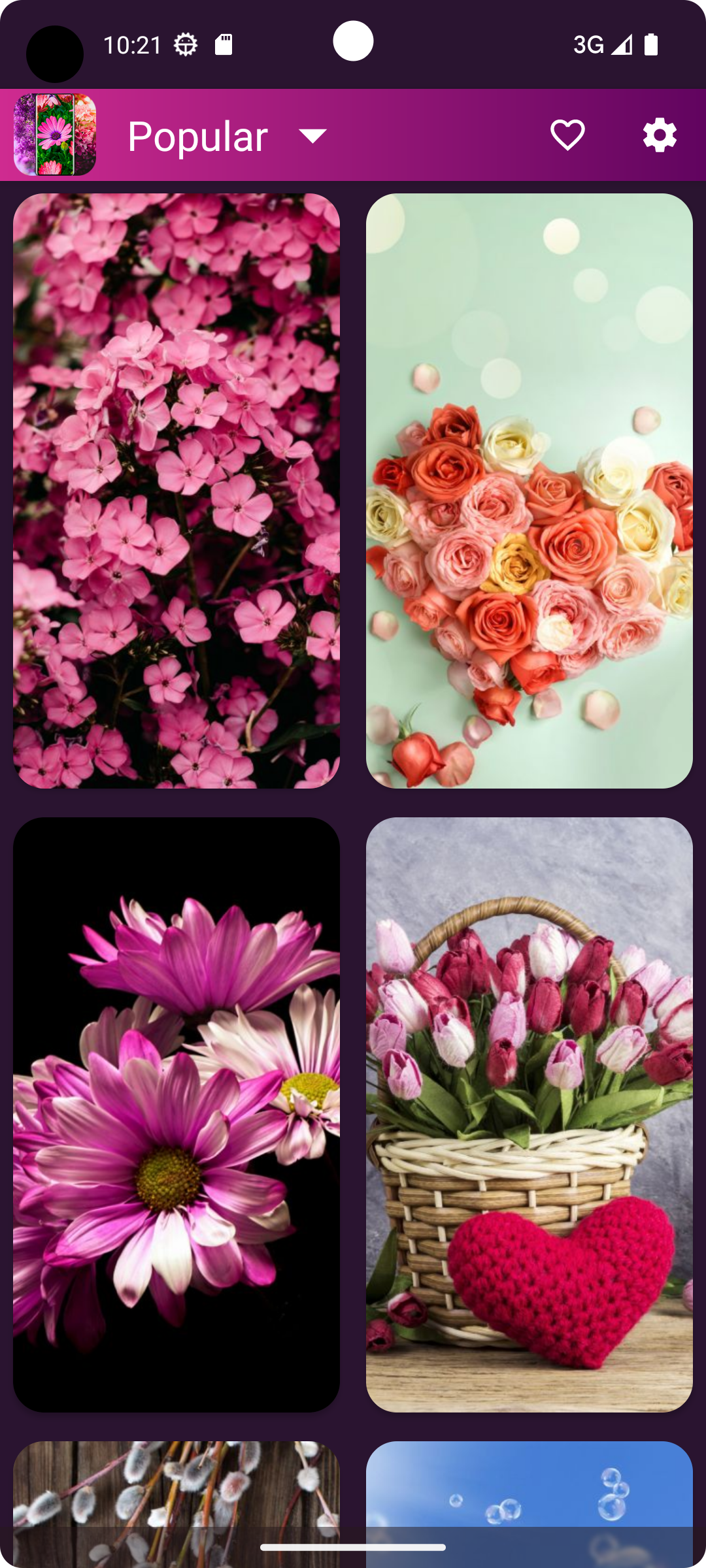 اسکرین شات 8 برنامه Flower Wallpapers - Flowrify