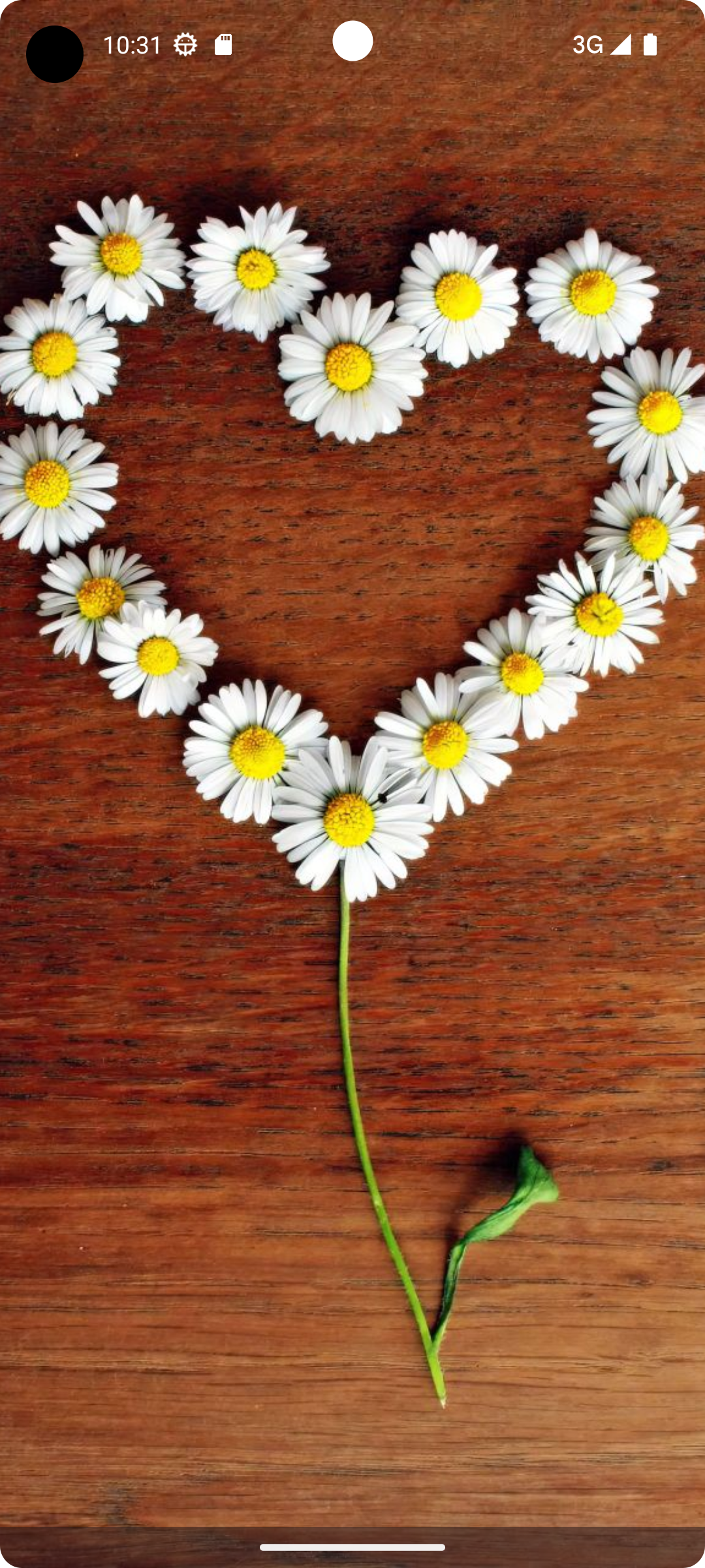 اسکرین شات 2 برنامه Flower Wallpapers - Flowrify